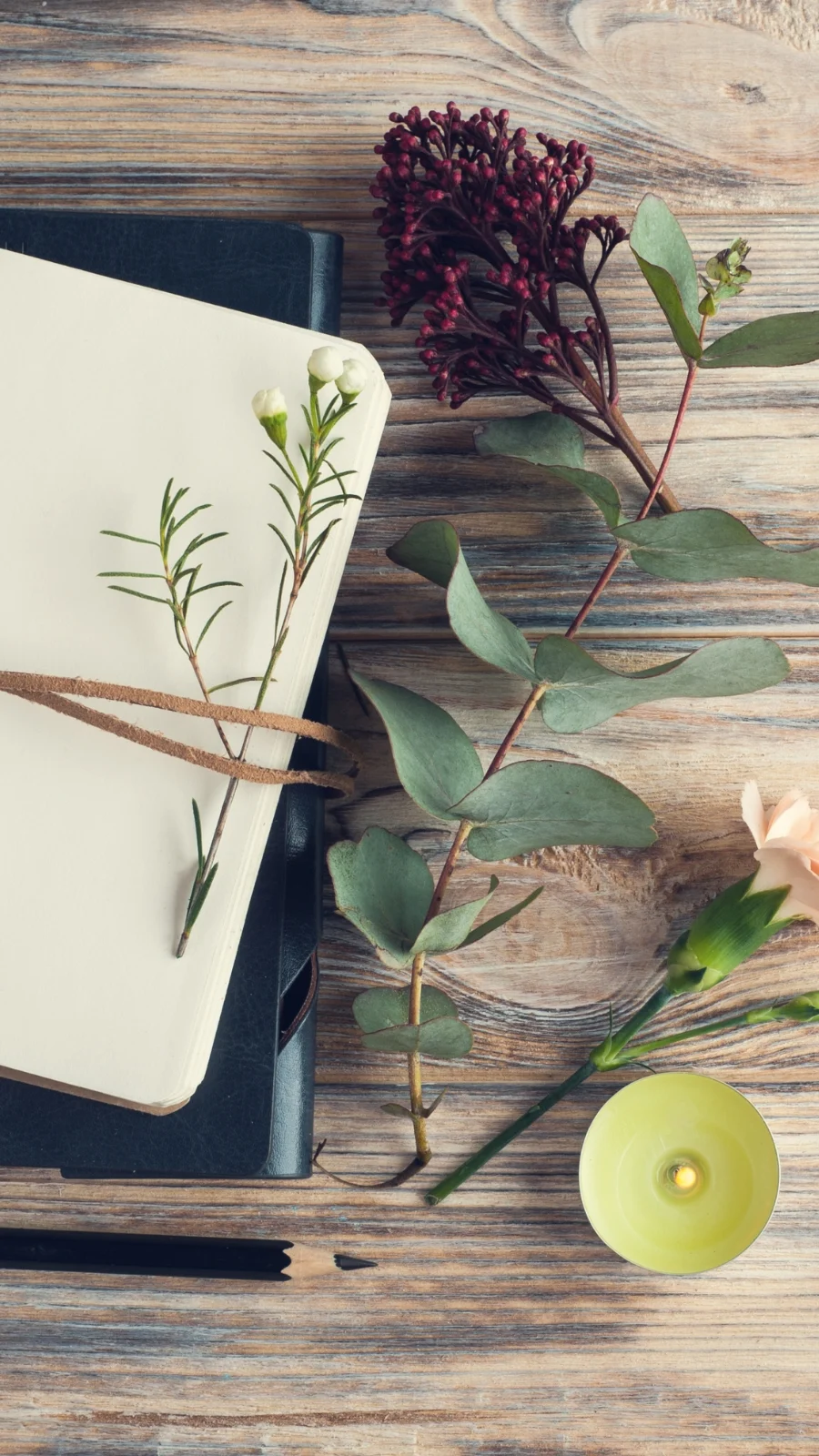 tips for student success - how to become a better student productivity tips 