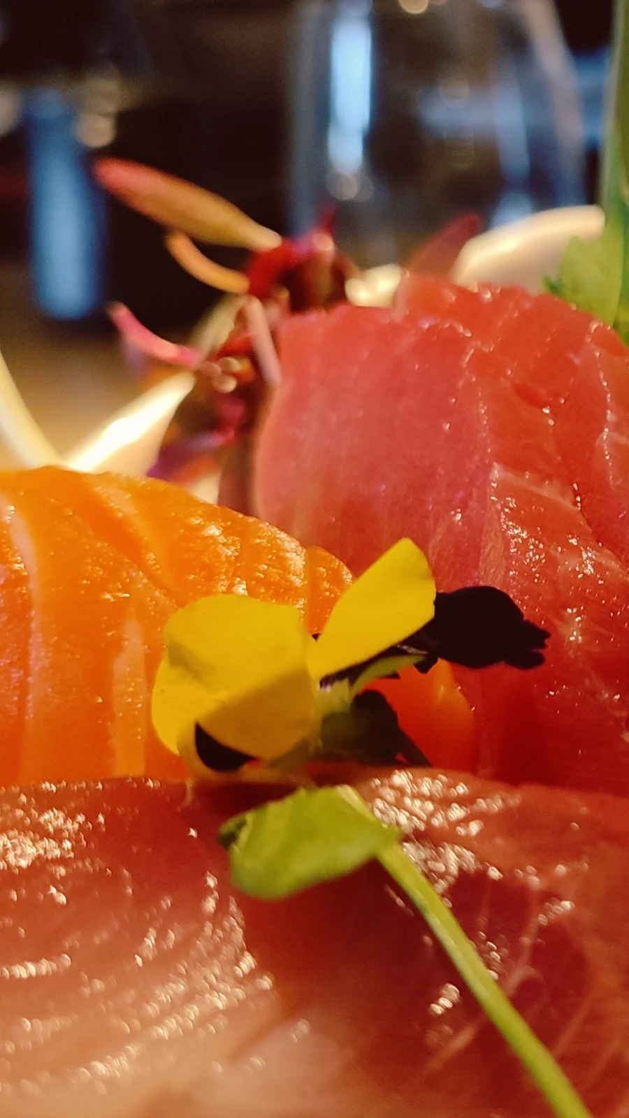 best halal japanese restaurants in london - best halal sushi in London - aqua kyoto terrace - aqua kyoto review soho london - aqua kyoto menu - aqua kyoto rooftop - london restaurant reviews