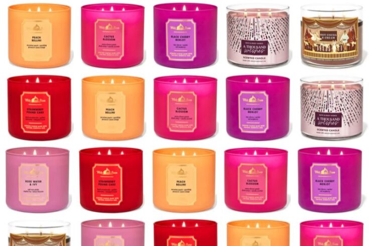 World's Best Soy Candle - Handmade In Canada 8oz Long Lasting Various Scents (Enchantingly Spiced)