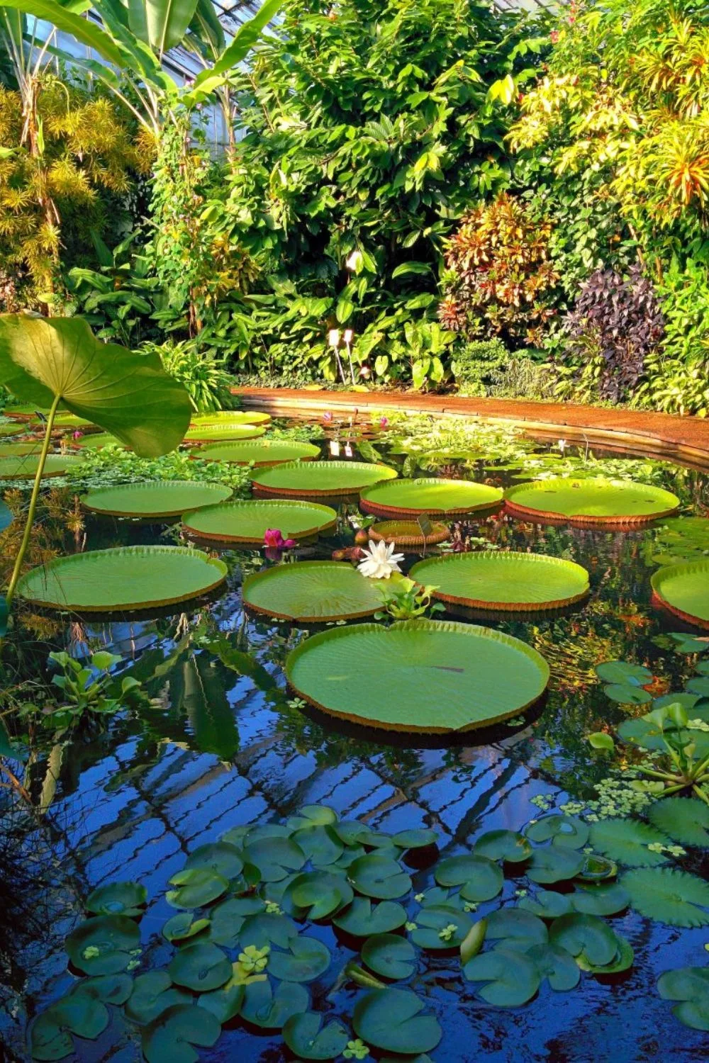 most instagrammable places in edinburgh scotland - what to do in edinburgh - best things to do in edinburgh scotland - most colorful places in edinburgh - most instagrammable cafes in edinburgh - best viewpoints in edinburgh - best photo spots in edinburgh - best photography spots in edinburgh - most beautiful places to visit in edinburgh - royal botanic gardens