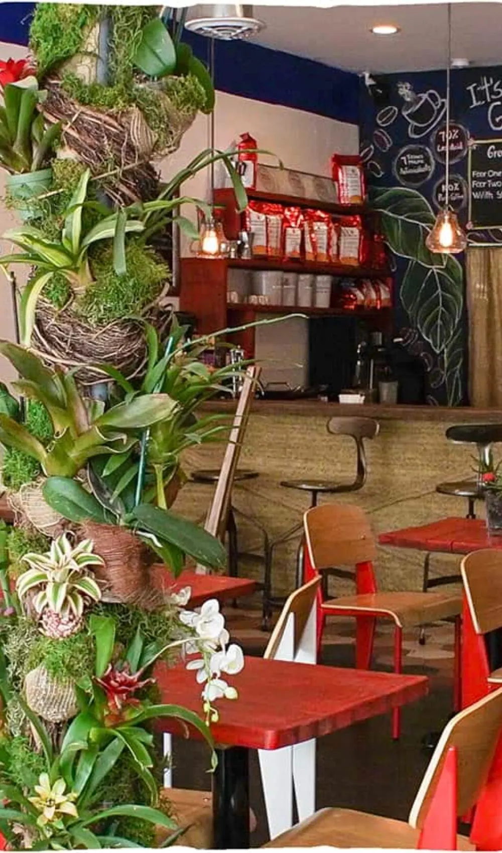 best cafes to work in miami - best laptop friendly coffee shops in miami - best laptop friendly cafes miami to study - best places to work remotely in miami fl - best coffee shops in miami to study - best coffee shops in miami beach - cutest coffee shops in miami to work - best places to study in miami - best coffee shops to study in miami florida - puroast coffee
