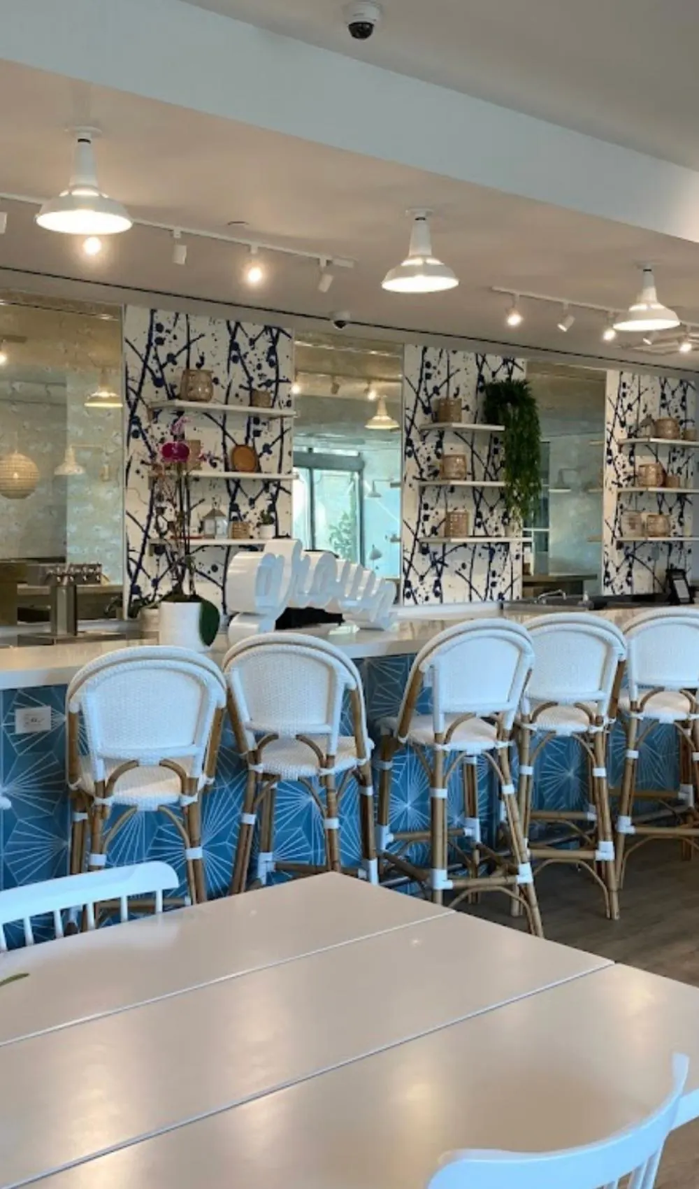 best cafes to work in miami - best laptop friendly coffee shops in miami - best laptop friendly cafes miami to study - best places to work remotely in miami fl - best coffee shops in miami to study - best coffee shops in miami beach - cutest coffee shops in miami to work - best places to study in miami - best coffee shops to study in miami florida - grown
