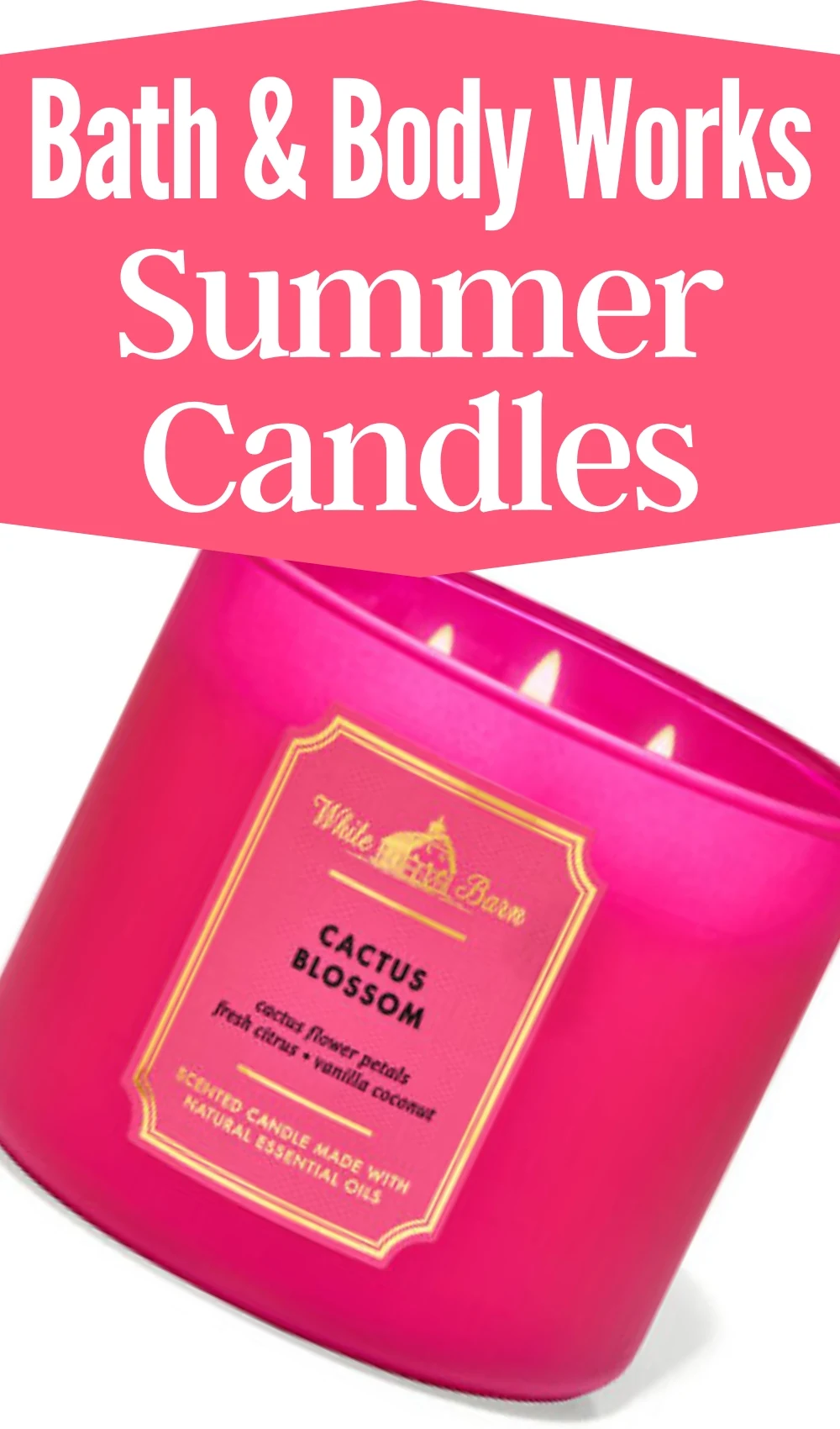 best bath and body works candles for summer - best summer bath and body works candles - best bath and body works summer scents - best summer candle scents - best candles for summer - best spring bath and body works scents - cactus blossom