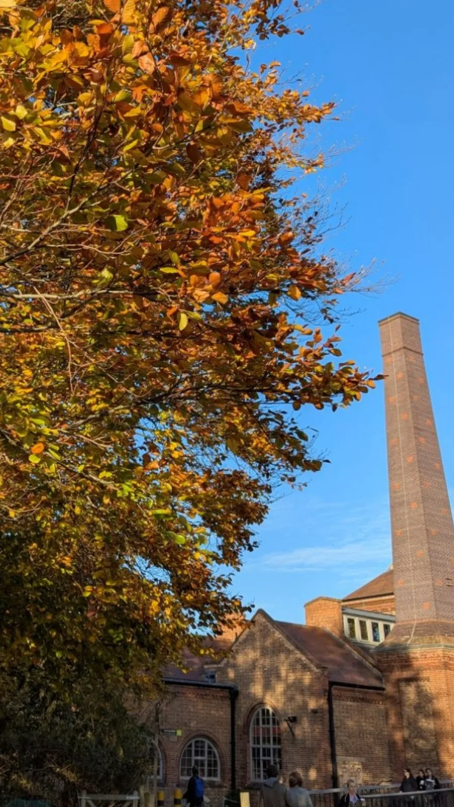 Secret Photography Spots in London: Walthamstow Wetlands