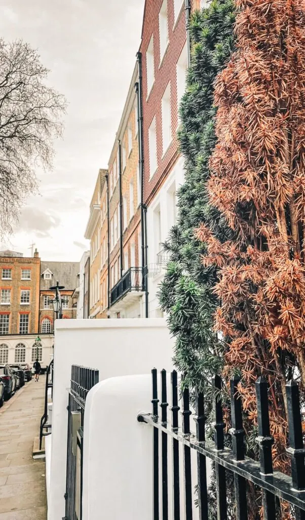 tips to move to london - digital nomad in london - how to move to london tips - london travel guide - expat in london - how to become a digital nomad in lonodn - are londoners rude - how to survive in london uk
