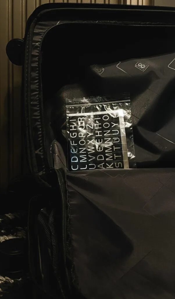 best suitcases for international travel - level 8 luggage review - level 8 grace luggage set review champagne - best level 8 suitcases - level 8 packing cubes set grey review - best packing cubes - best suitcase brands - best carry on for digital nomads - sophisticated suitcases