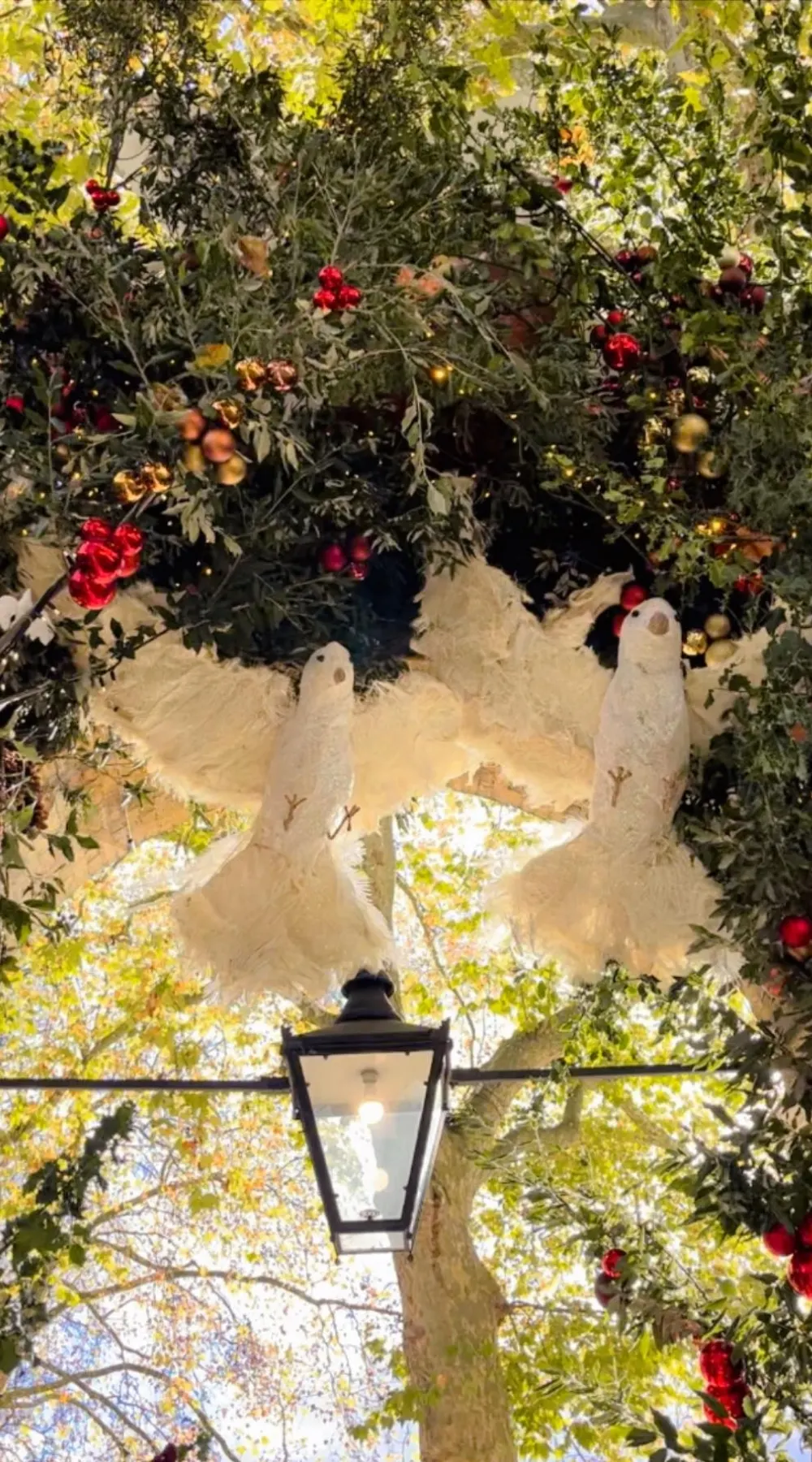 Christmas Lights and Decorations in London: Duke of York Square
