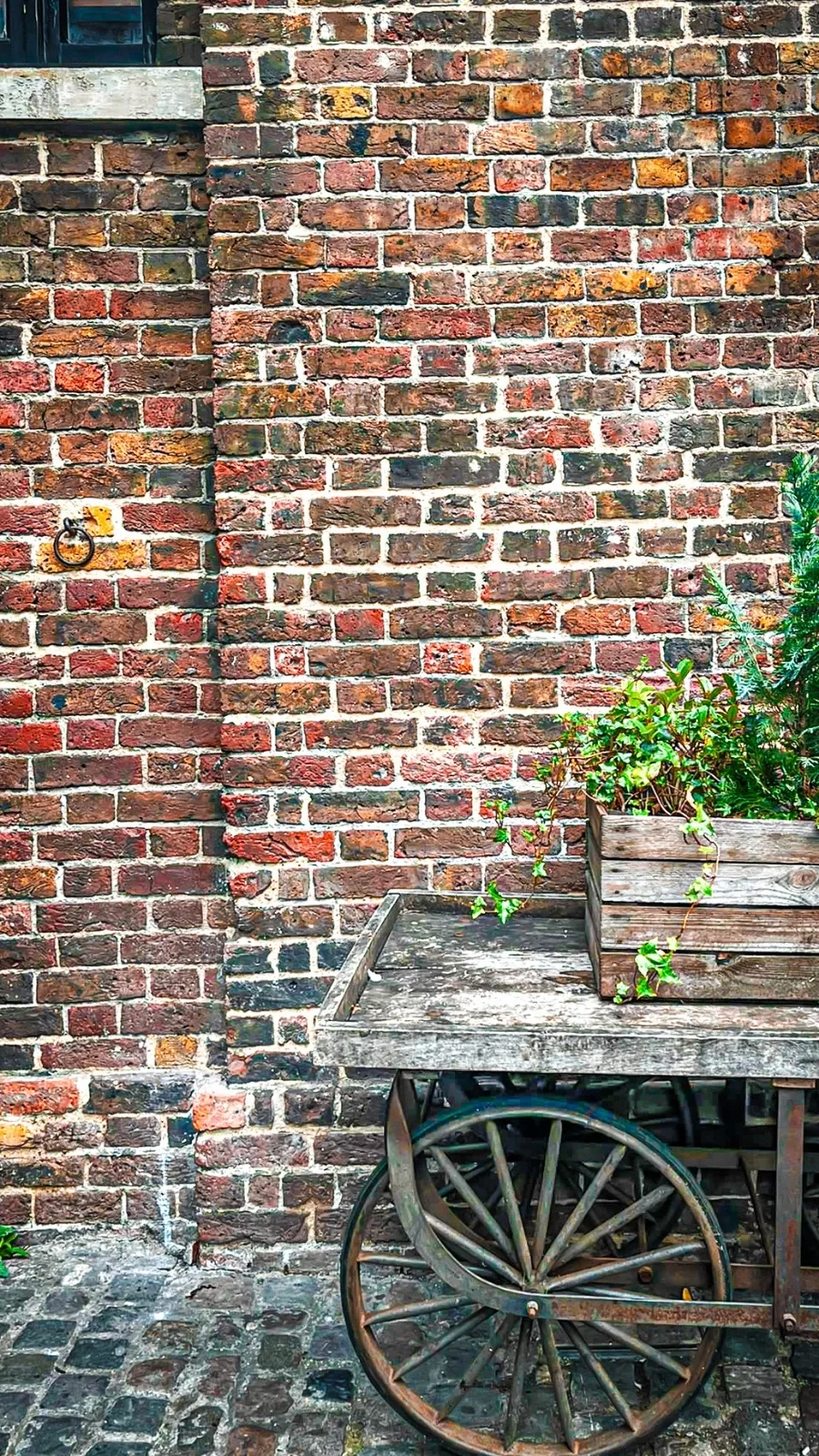 best shops in london shopping guide - best shopping in camden town - best shops in camden town - best things to do in camden town aesthetic - london travel guide - london bucket list - best things to do in london - best stores in london - beautiful places in london - best vintage shops in london - best markets in london