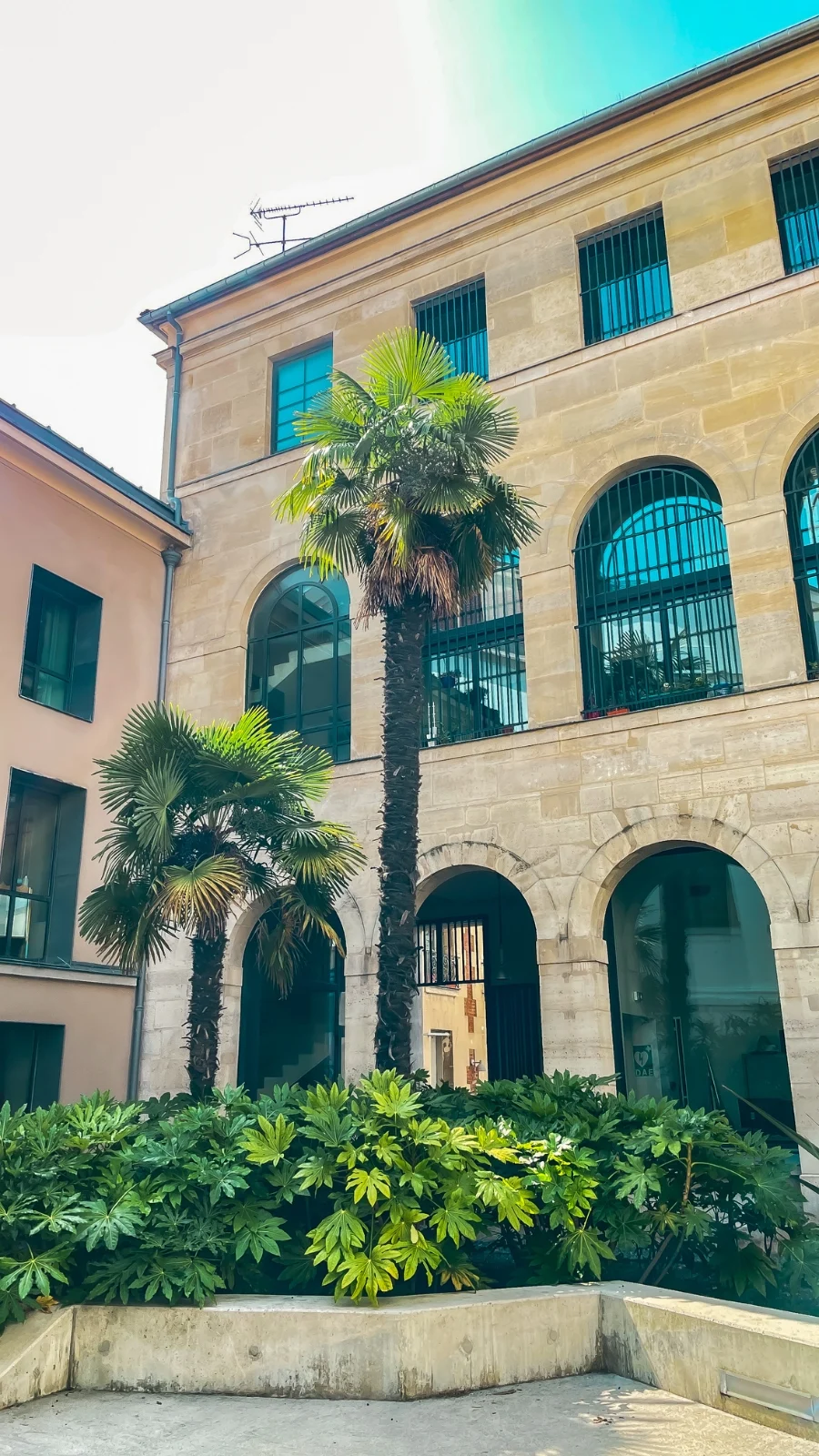 Floral Places in Paris: Jardin Saint-Lazare