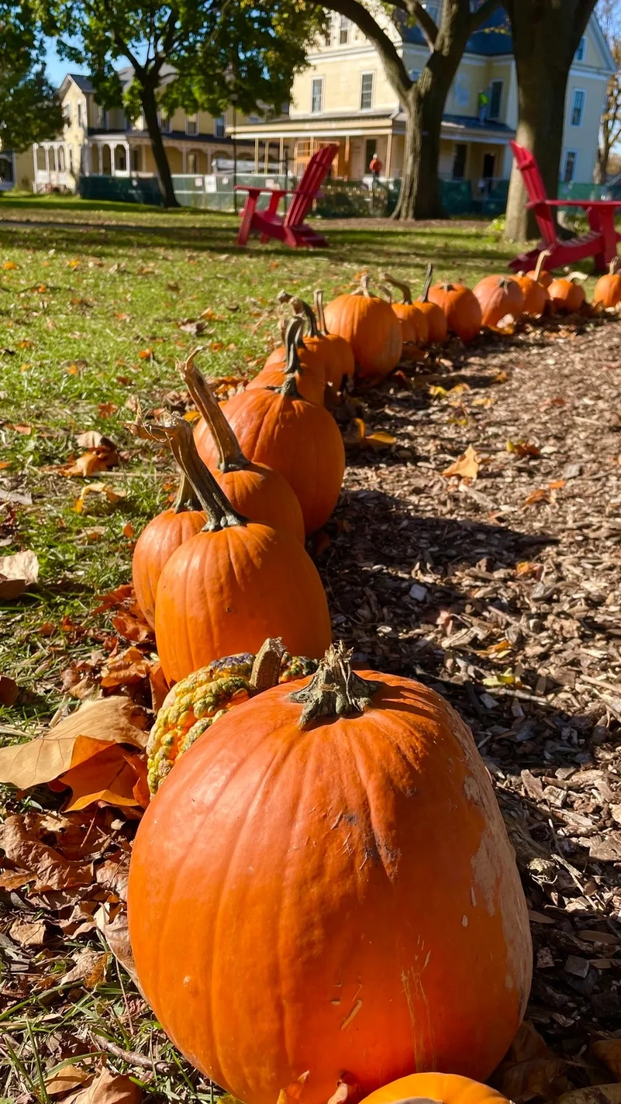 Best Things to Do During Fall in NYC: Governors Island