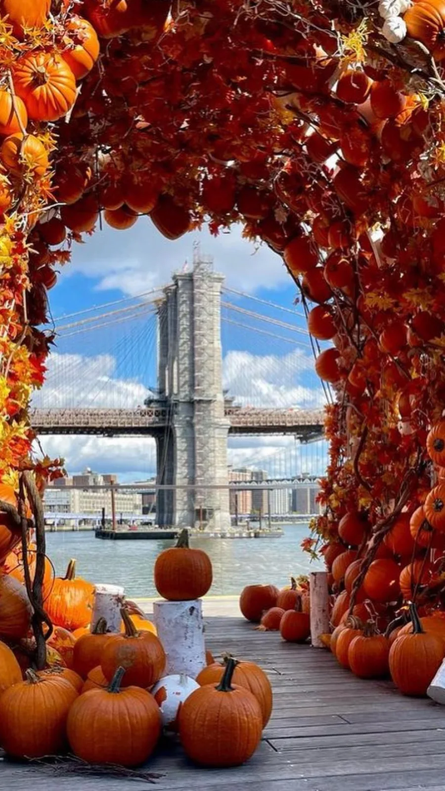 Best Things to Do During Fall in NYC: Pumpkin Arch at Pier 17