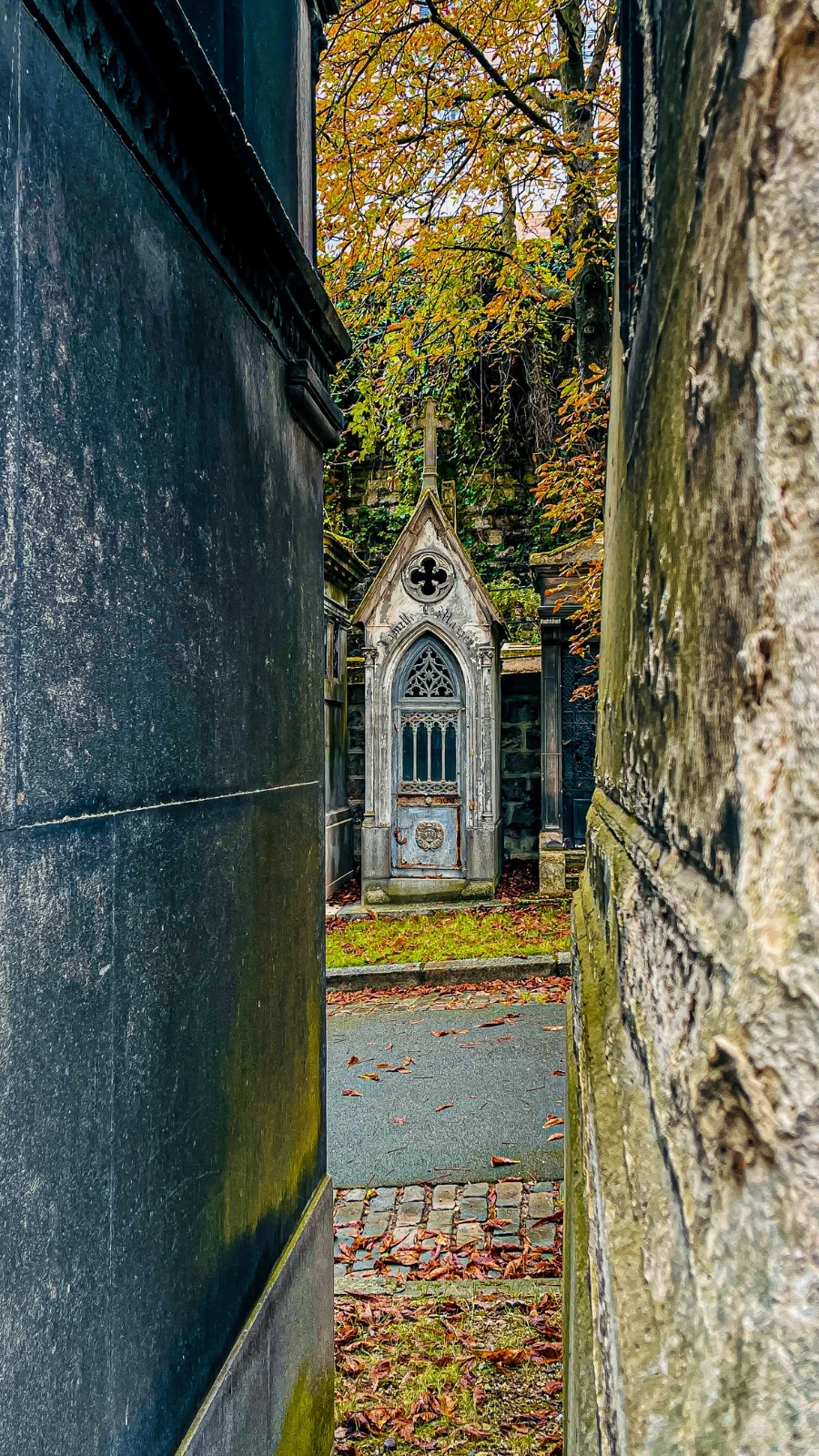 Best Things to Do in the Fall in Paris: Cimetière de Montmartre