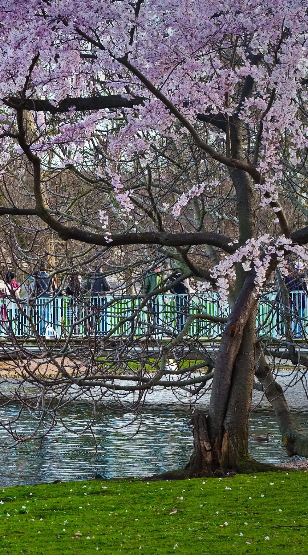 unique cheap free things to do in london with kids, tweens and teenagers - best activities with children in london travel guide
