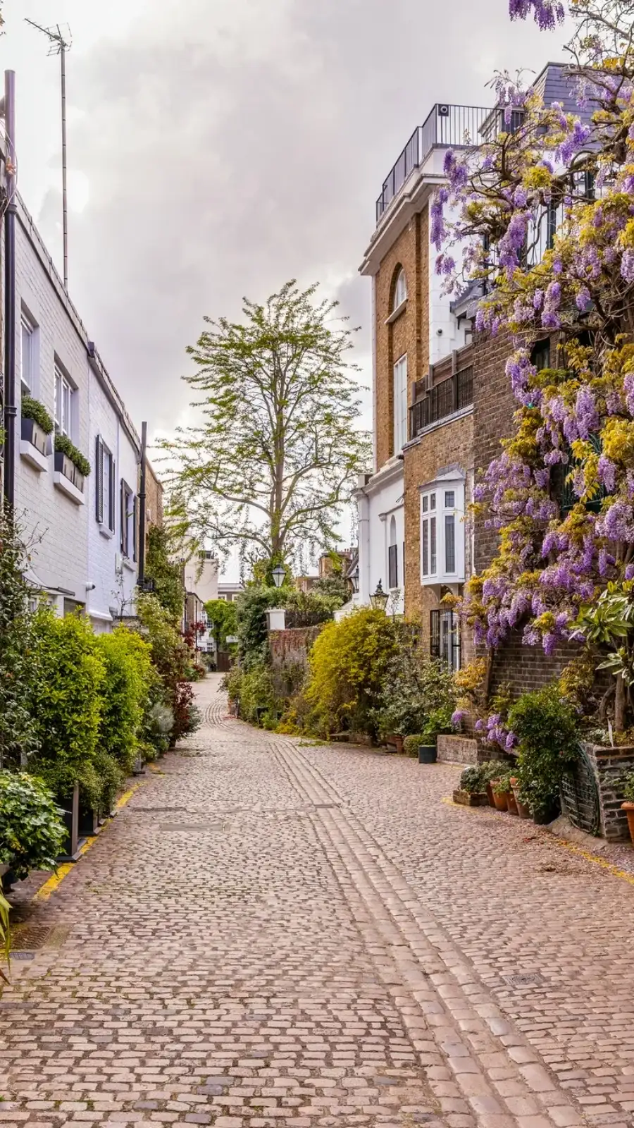 Prettiest Mews in London: Kynance Mews