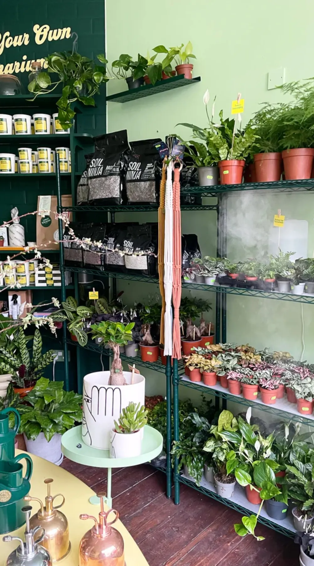 Where to Buy Unique Gifts in London: London Terrariums, Bethnal Green