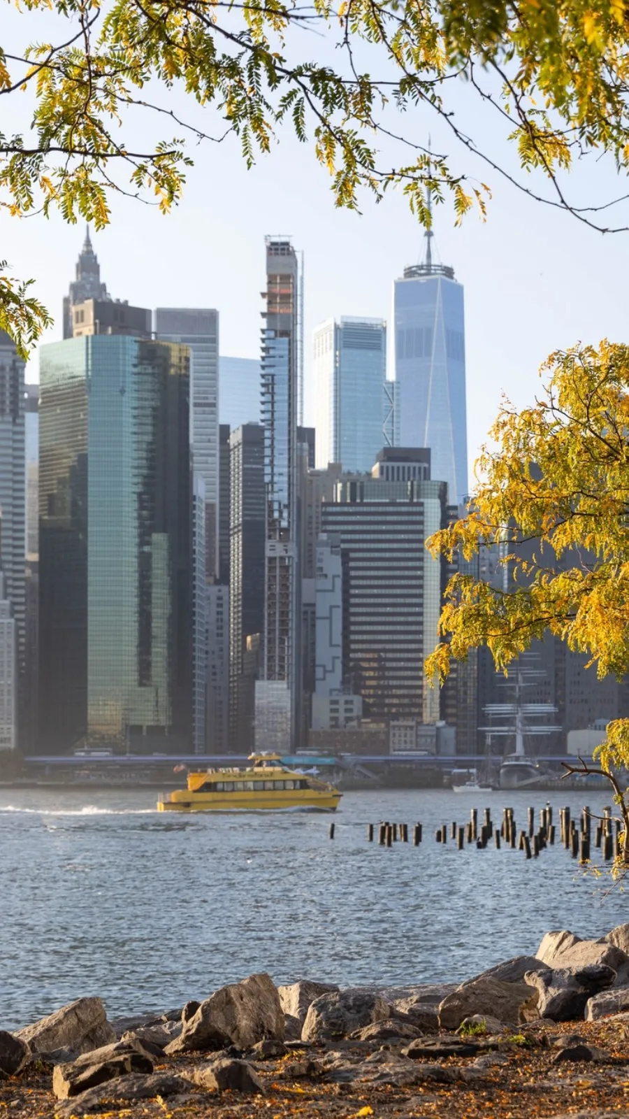 Free Things to Do in Brooklyn NYC: Brooklyn Bridge Park