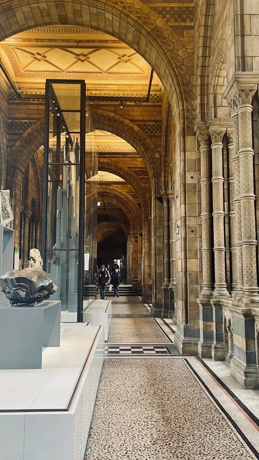London Memories #5: National History Museum, South Kensington