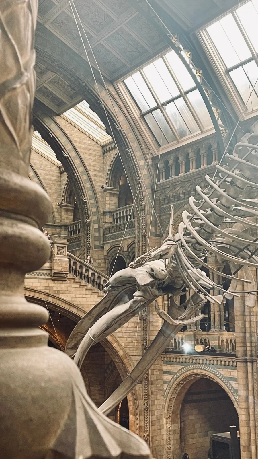 London Memories #5: National History Museum, South Kensington