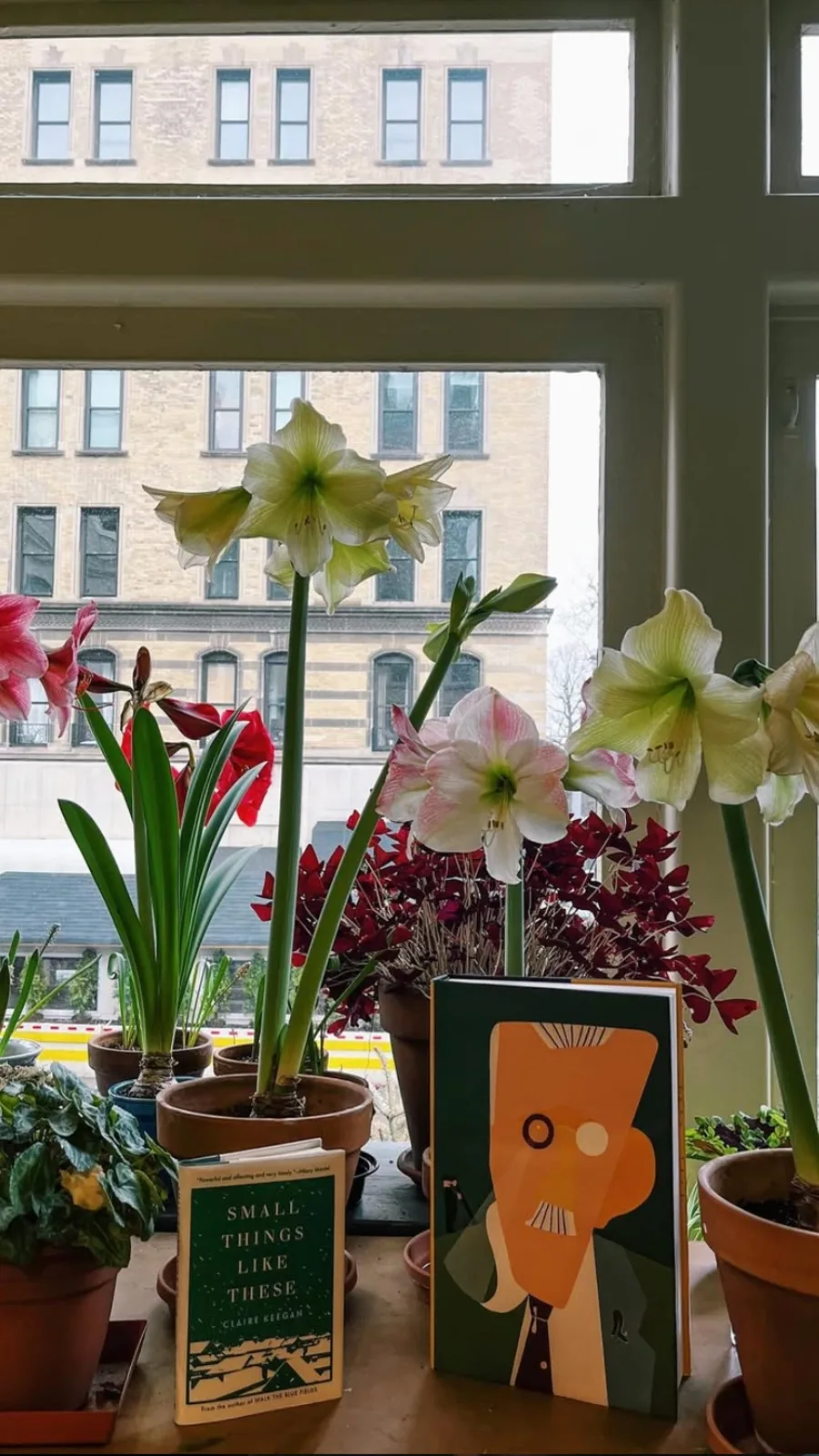 Prettiest Bookstores in NYC: The Corner Bookstore, Upper East Side