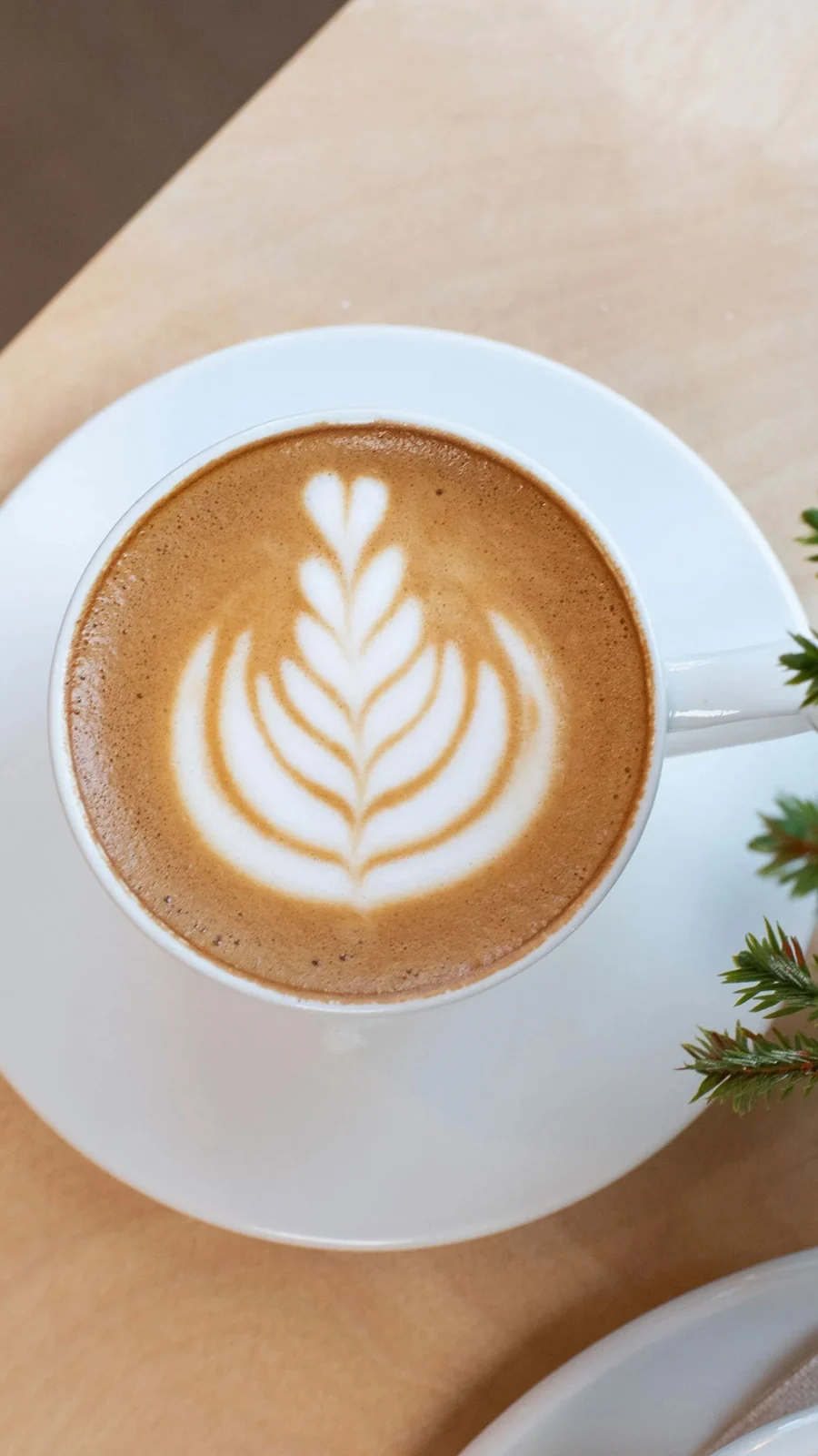 Unique Workshops in London: Latte Art Course, Kiss the Hippo, Fitzrovia