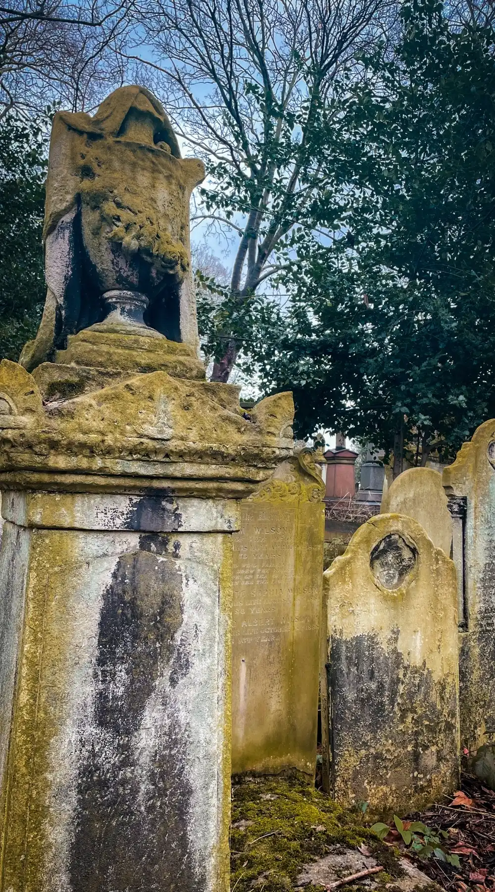 Beautiful Places to Visit in Autumn in London: Tower Hamlets Cemetery Park, East London