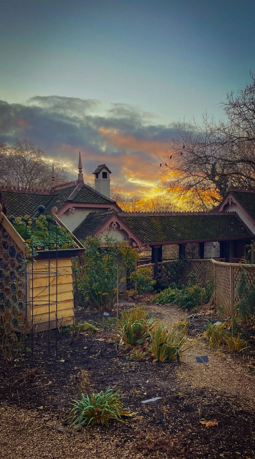 Where to See Autumn Colors in London: St James's Park