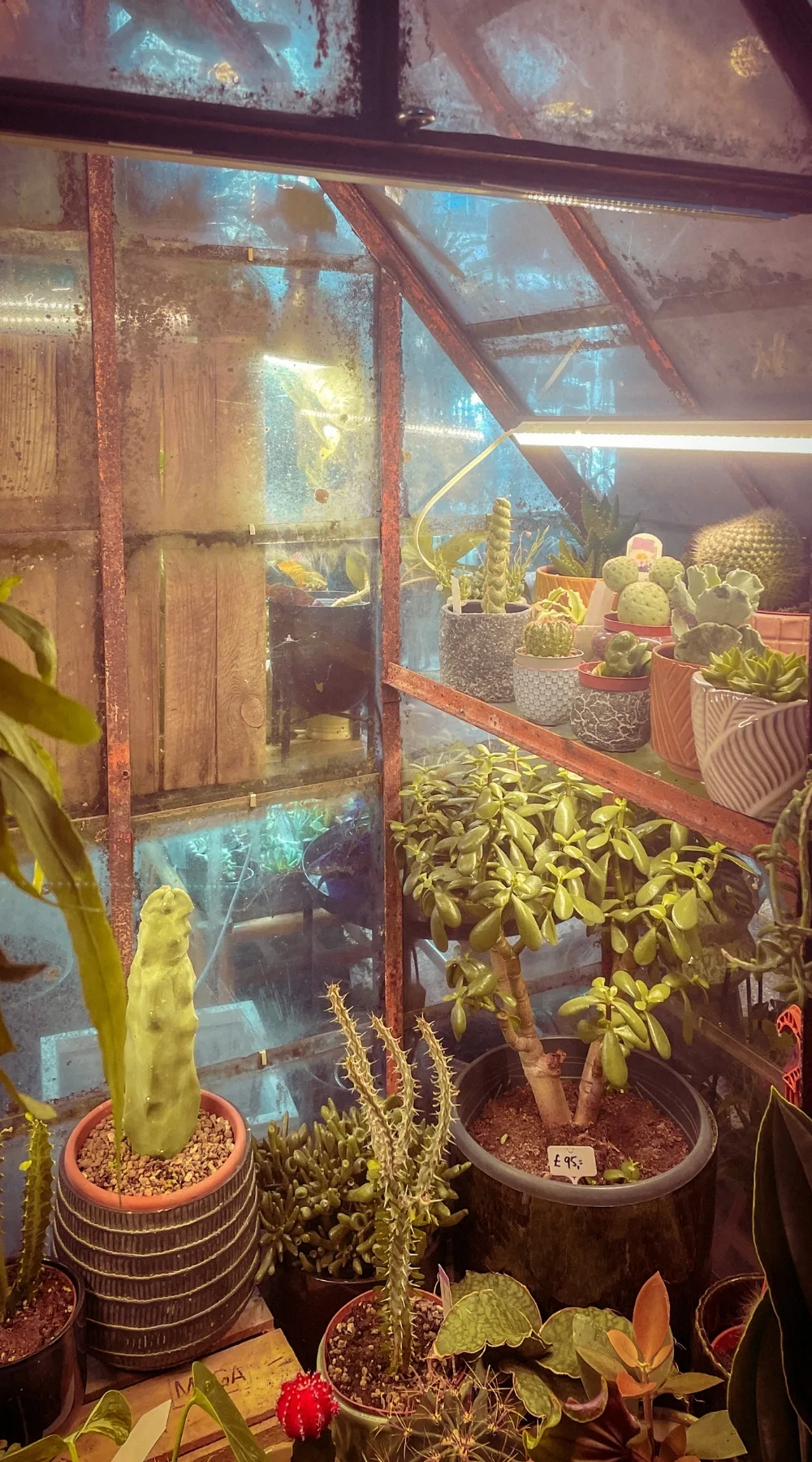 Beautiful Places to Visit in Autumn in London: The Vaults Collective, Crystal Palace Area