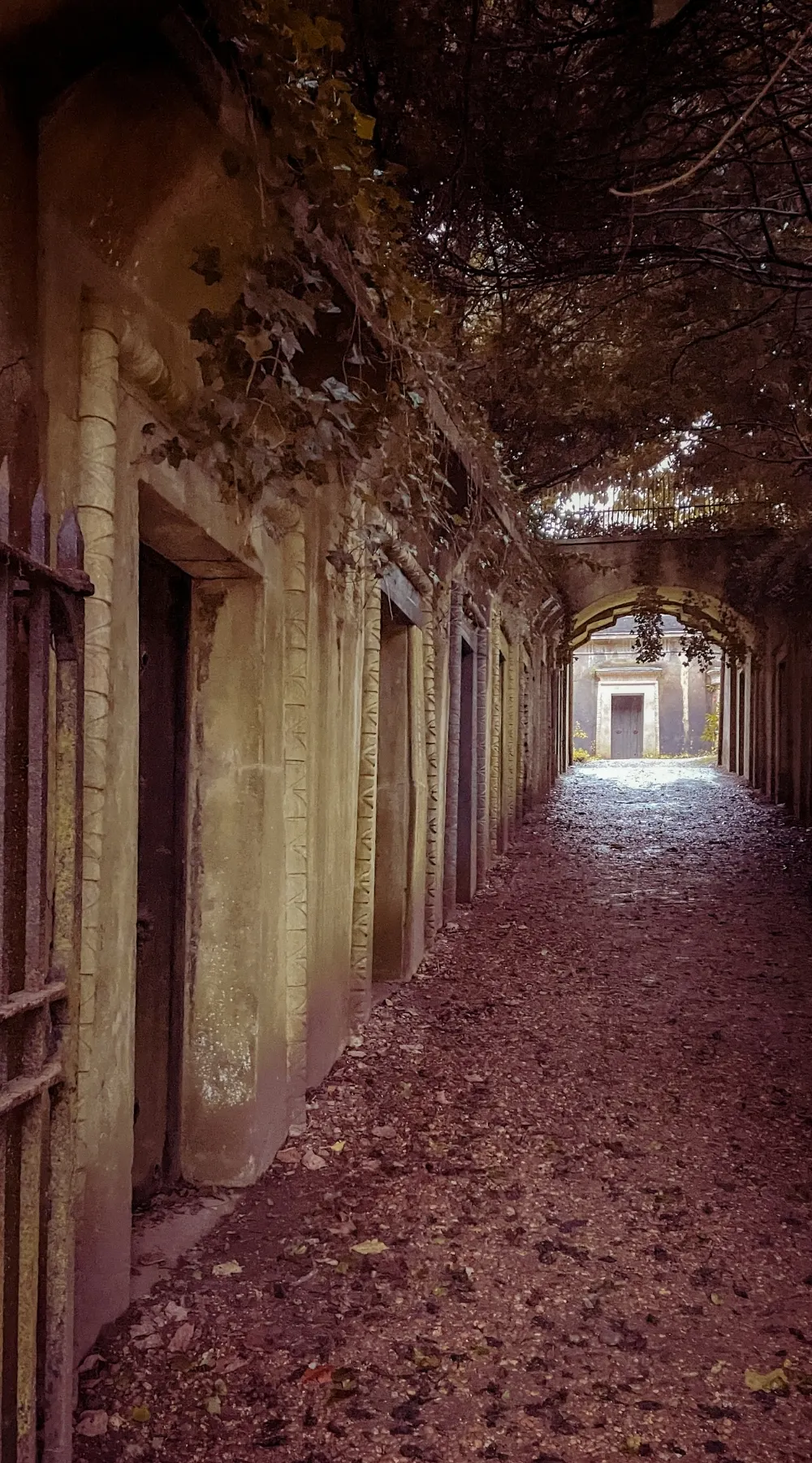 Where to See Autumn Colors in London: Highgate Cemetery, North London