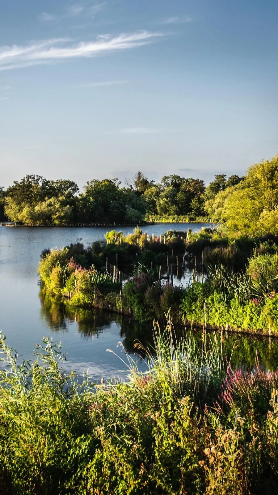 Hidden Peaceful Places Near London: Walthamstow Wetlands
