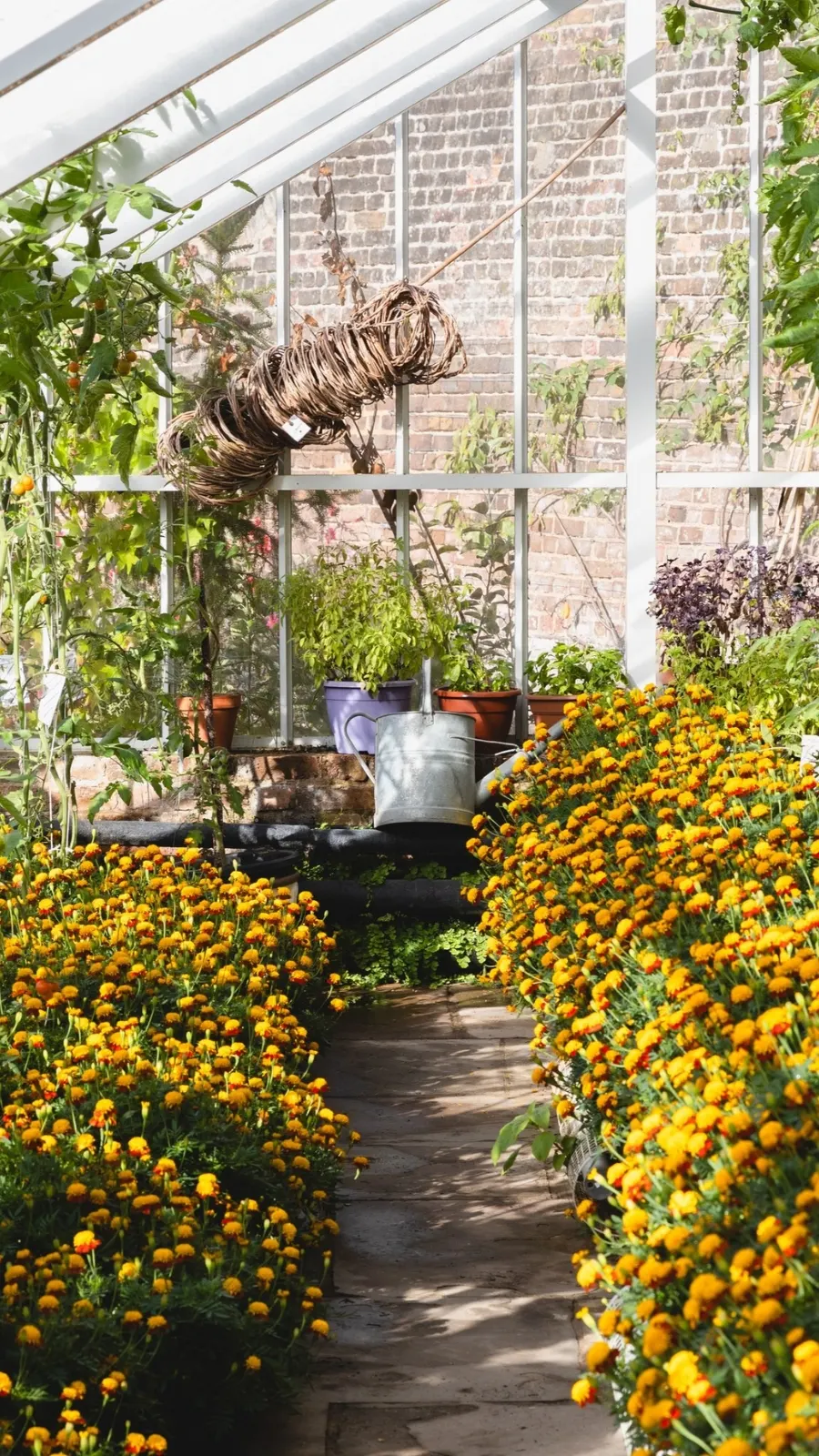 Hidden Peaceful Places Near London: Fulham Palace Garden