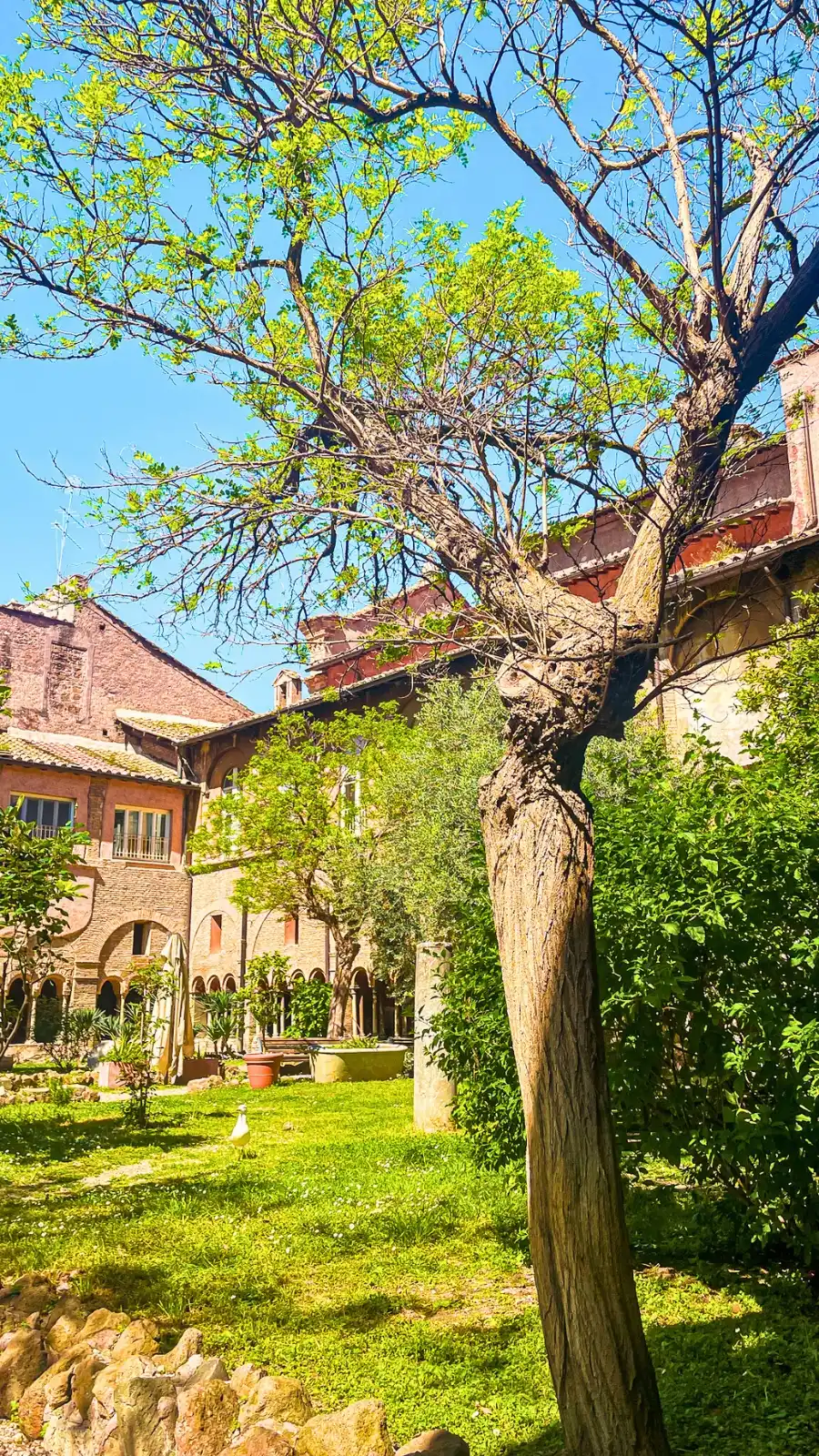 Trastevere: Hidden Cloister Behind San Cosimato