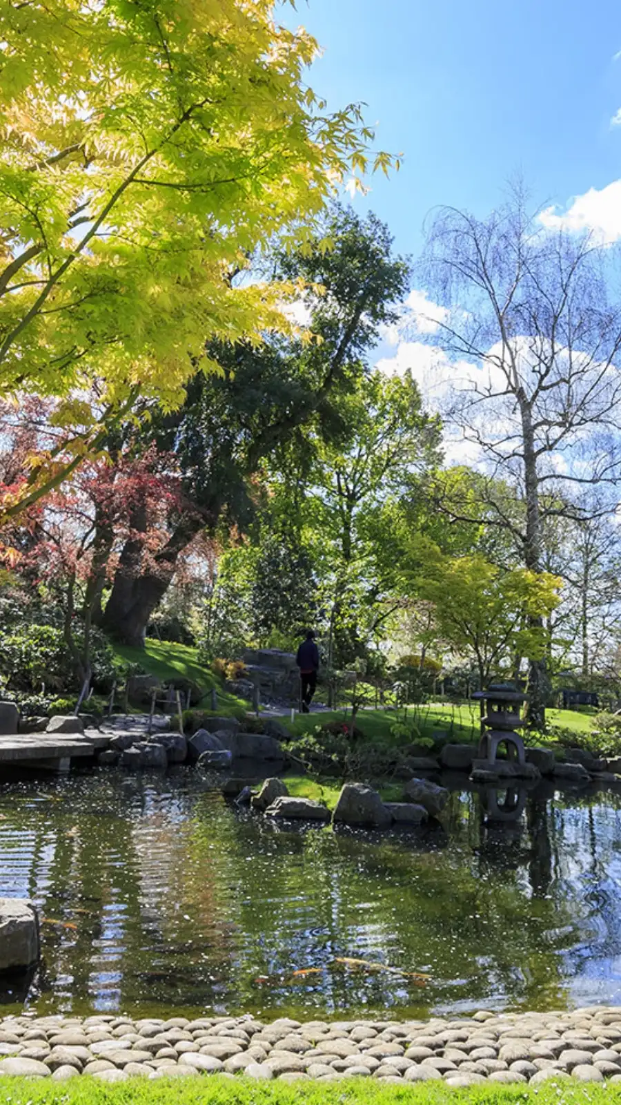 Free things to do in May in London: Kyoto Garden, Holland Park