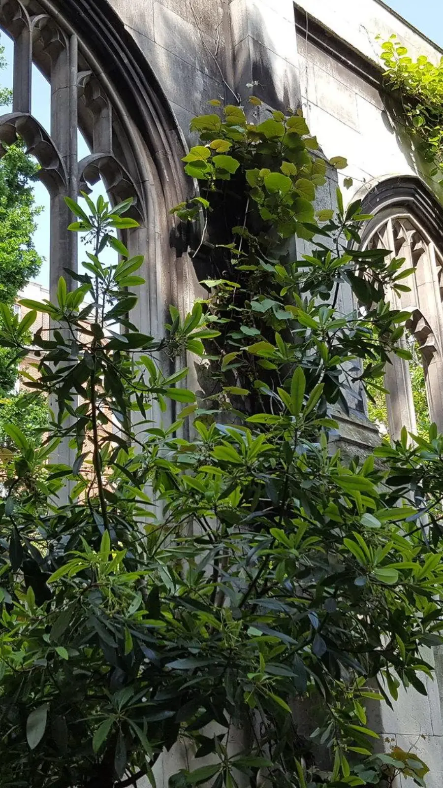 Free things to do in May in London: St. Dunstan in the East, City of London