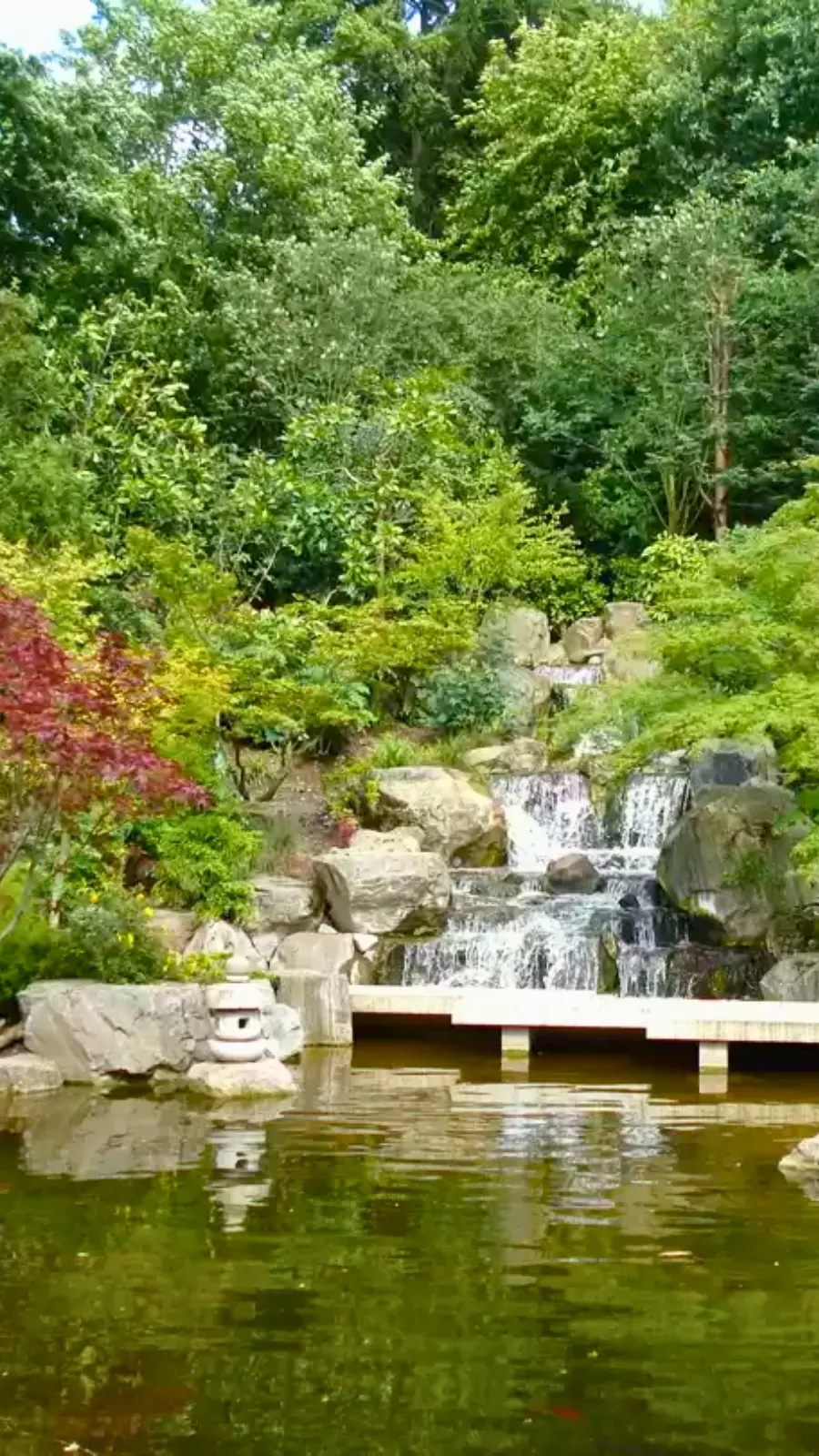 Homesick in London: Japanese Light in Holland Park