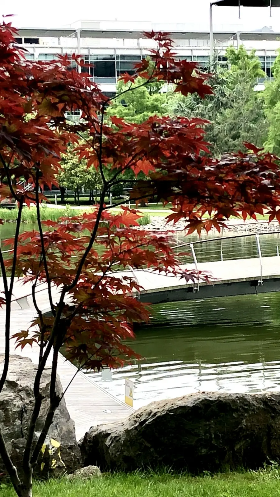 Homesick in London: Japanese Garden in Chiswick Business Park