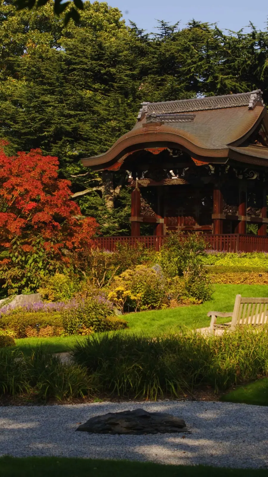 Homesick in London: Japanese Stillness in Kew Gardens