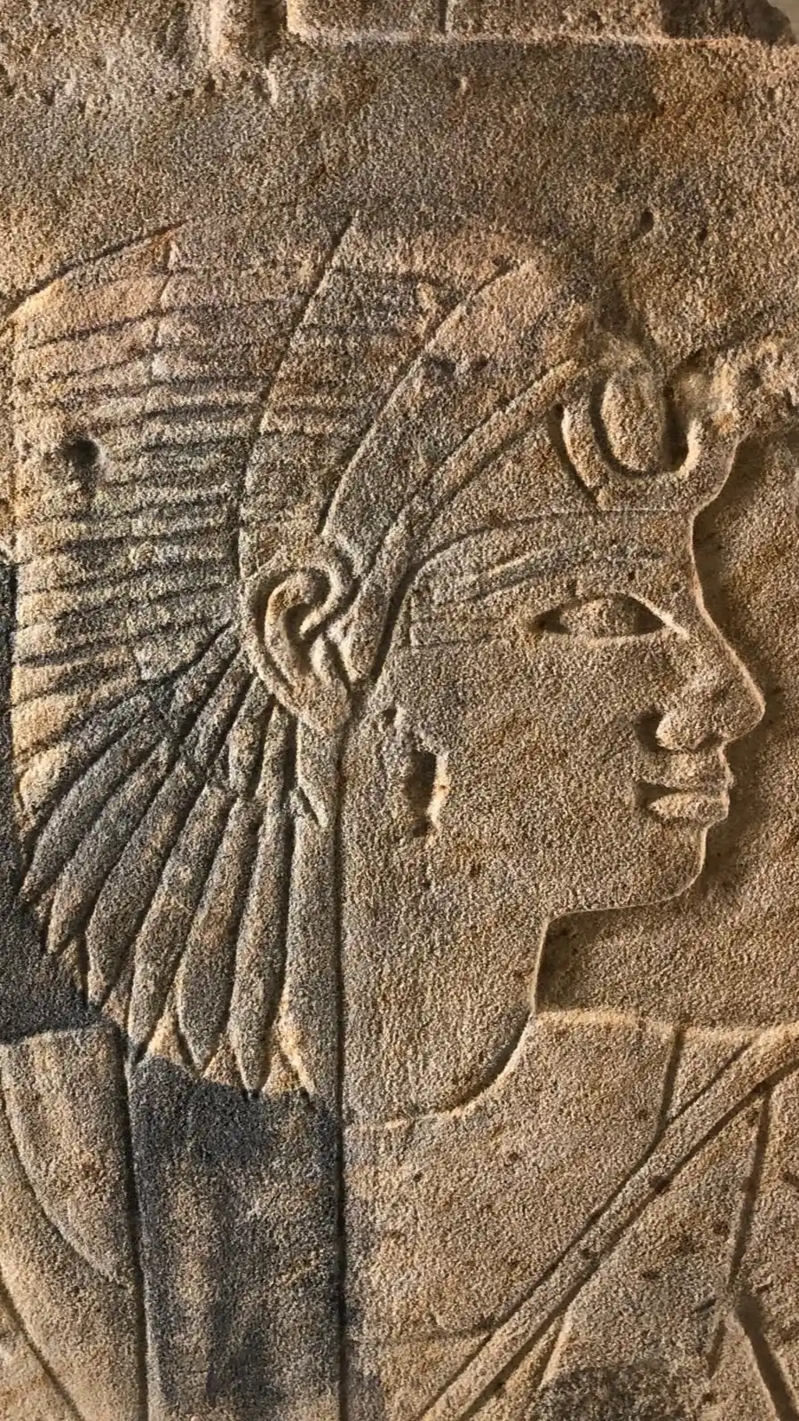 Muslim Friendly London: The Petrie Museum of Egyptian Archaeology (Bloomsbury)