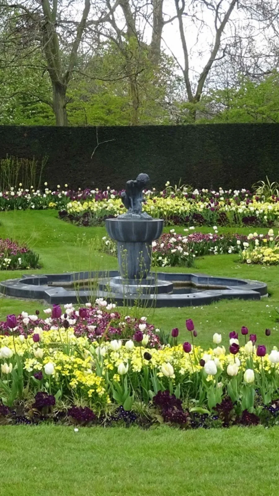 Muslim Friendly London: Regent’s Park Rose Garden