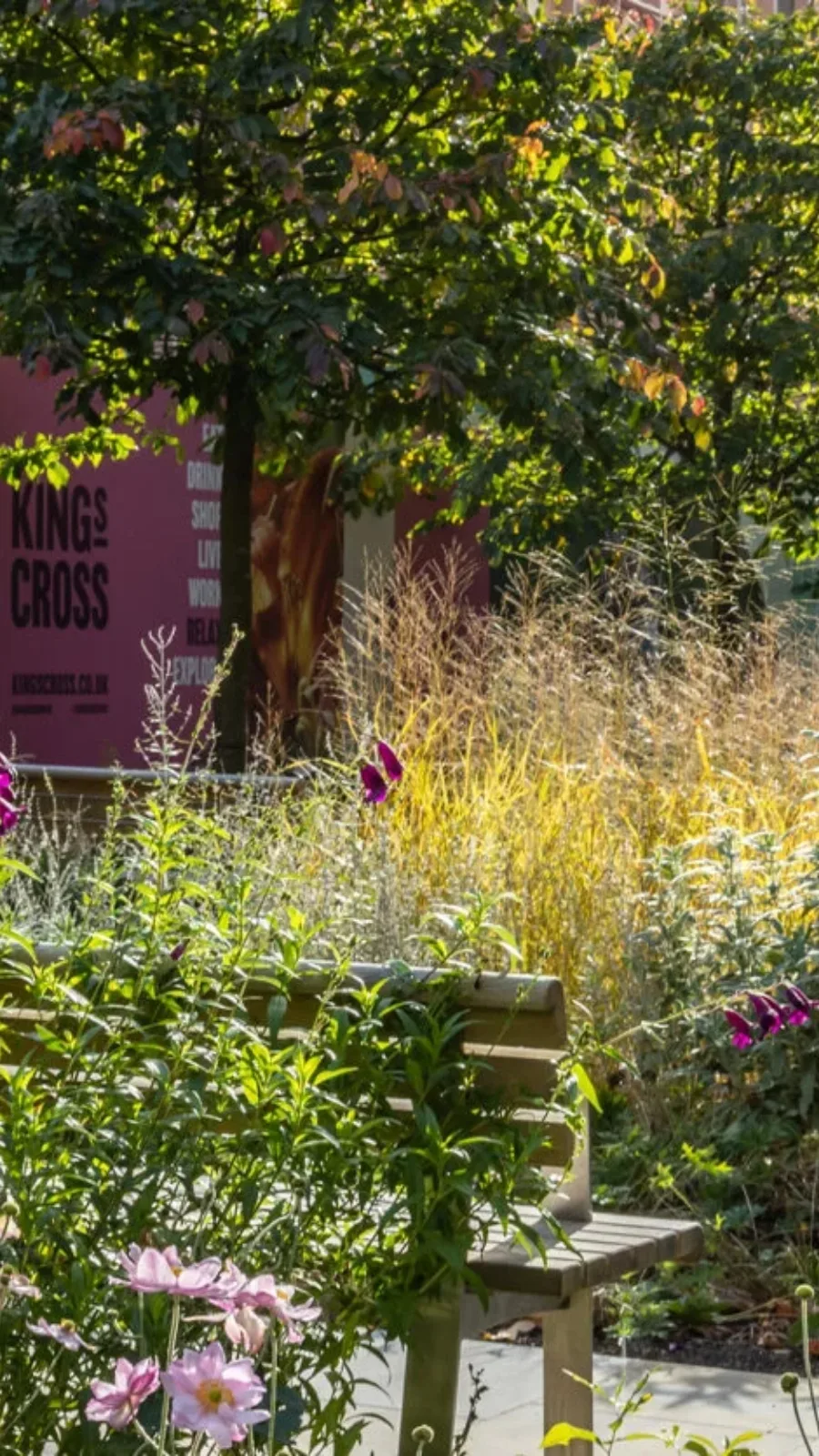 Muslim Friendly London: Aga Khan Centre Gardens and Geoffrey Jellicoe Gardens, King's Cross