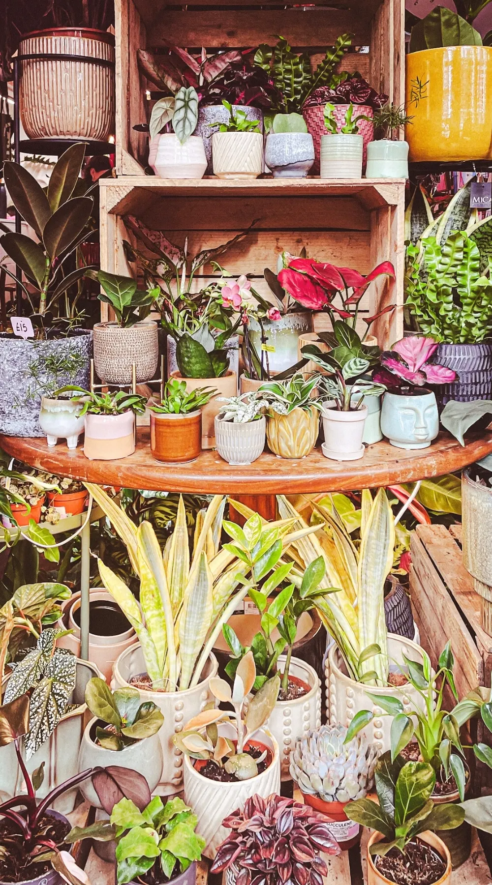 The Vaults Collective, A Magical Secret Cafe and Plant Shop - la mouche bakery - ivy and the wolf crystal palace - the vaults collective review london - best vegan cafes in london bakeries