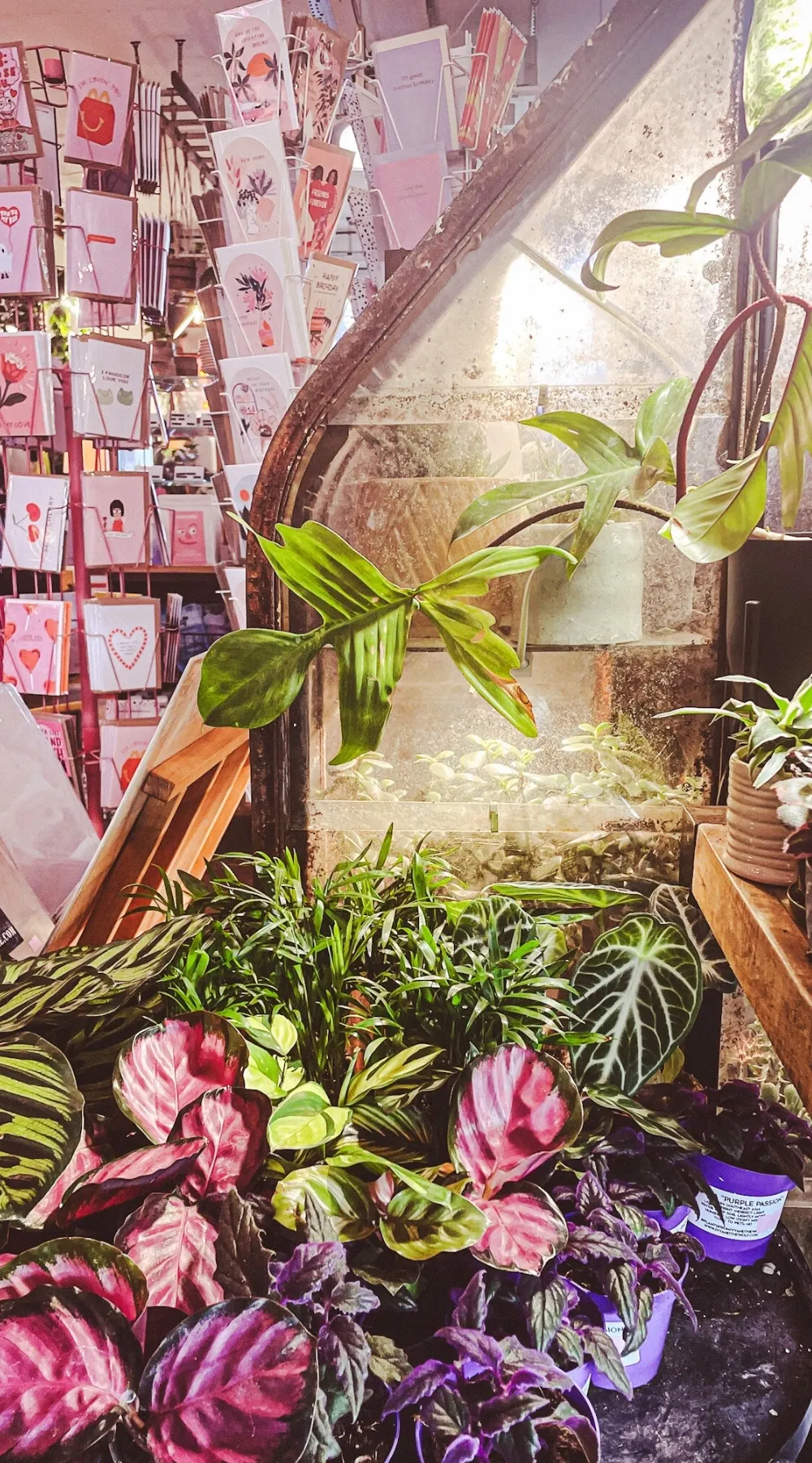 The Vaults Collective, A Magical Secret Cafe and Plant Shop - la mouche bakery - ivy and the wolf crystal palace - the vaults collective review london - best vegan cafes in london bakeries
