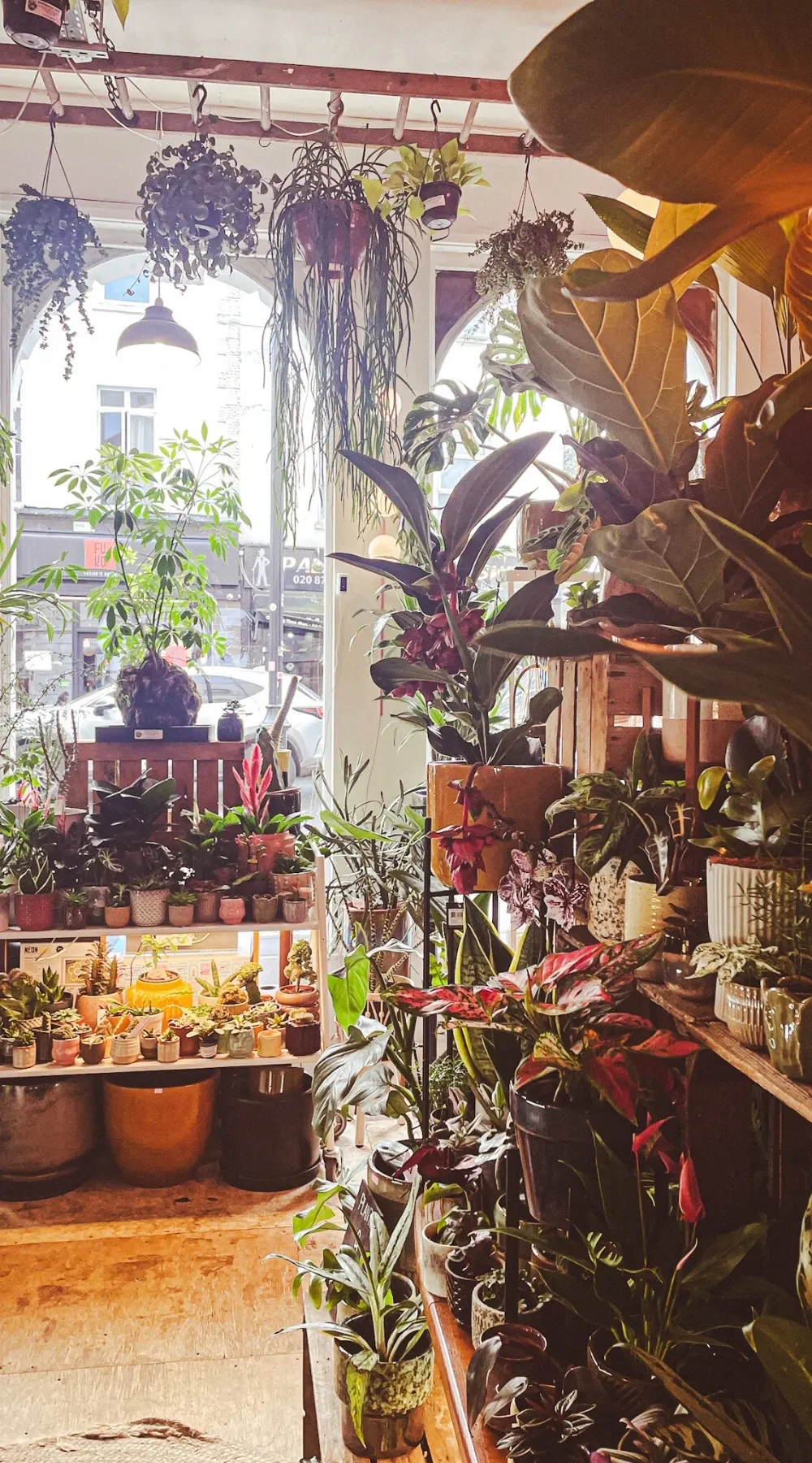 The Vaults Collective, A Magical Secret Cafe and Plant Shop - la mouche bakery - ivy and the wolf crystal palace - the vaults collective review london - best vegan cafes in london bakeries