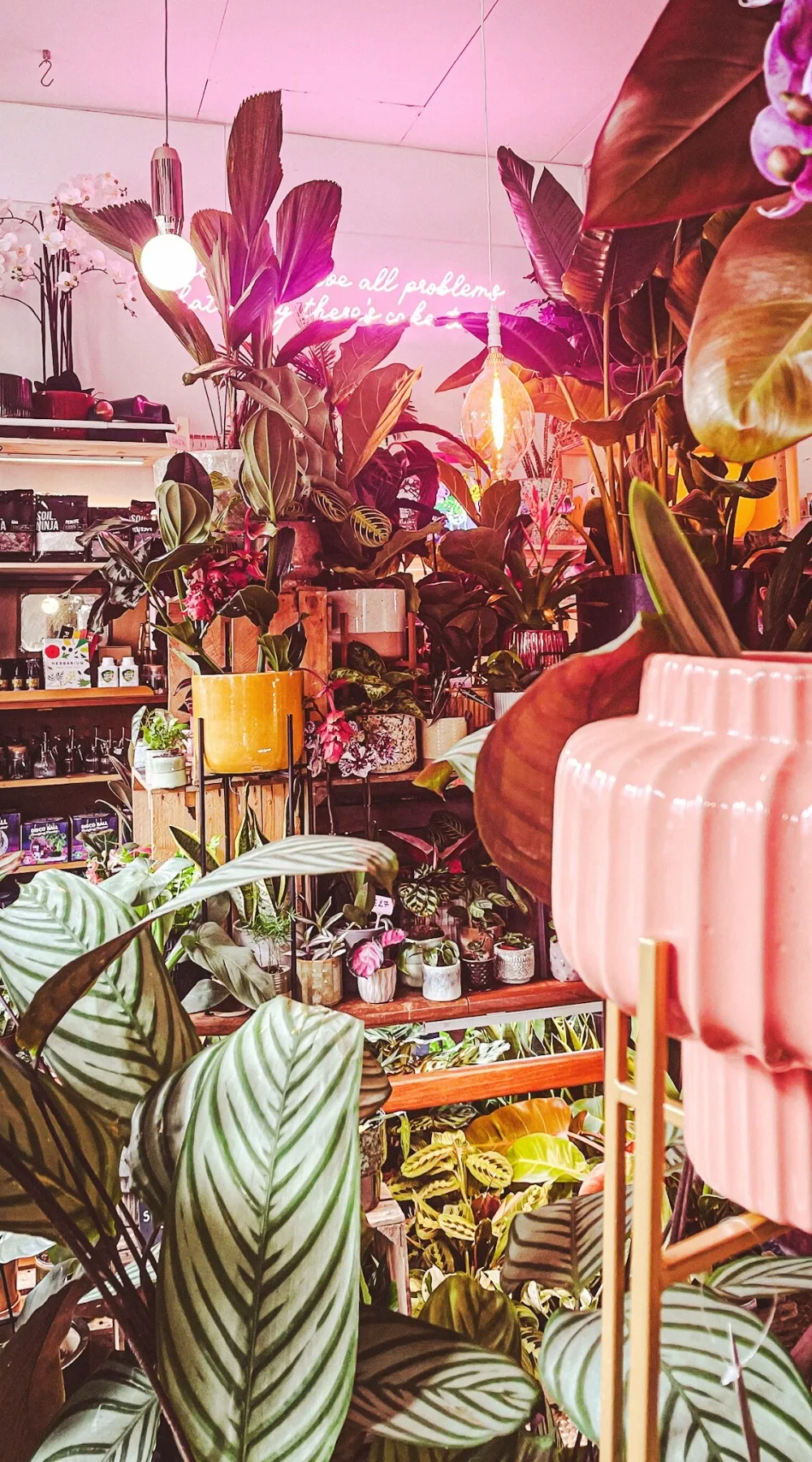 The Vaults Collective, A Magical Secret Cafe and Plant Shop - la mouche bakery - ivy and the wolf crystal palace - the vaults collective review london - best vegan cafes in london bakeries