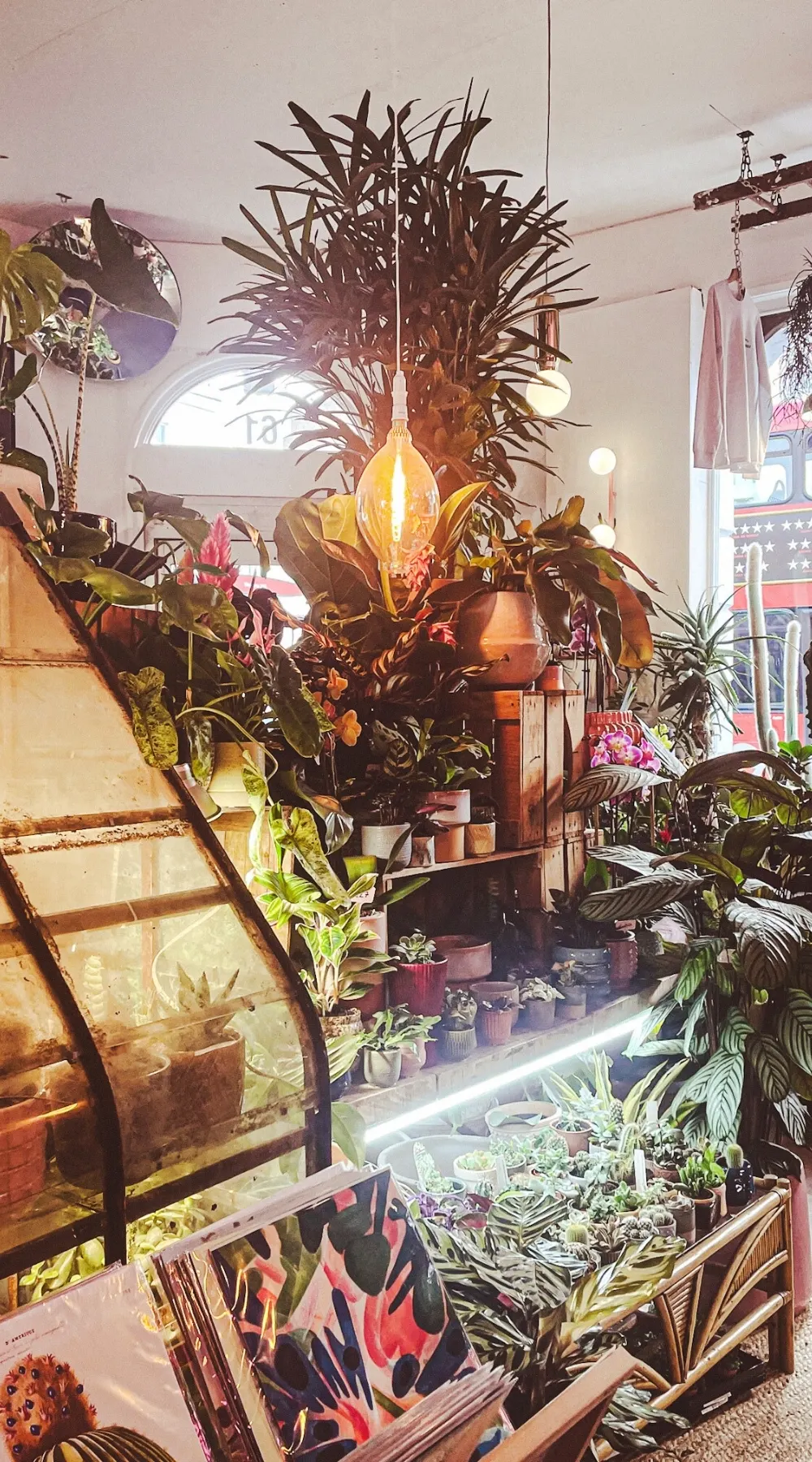 The Vaults Collective, A Magical Secret Cafe and Plant Shop - la mouche bakery - ivy and the wolf crystal palace - the vaults collective review london - best vegan cafes in london bakeries
