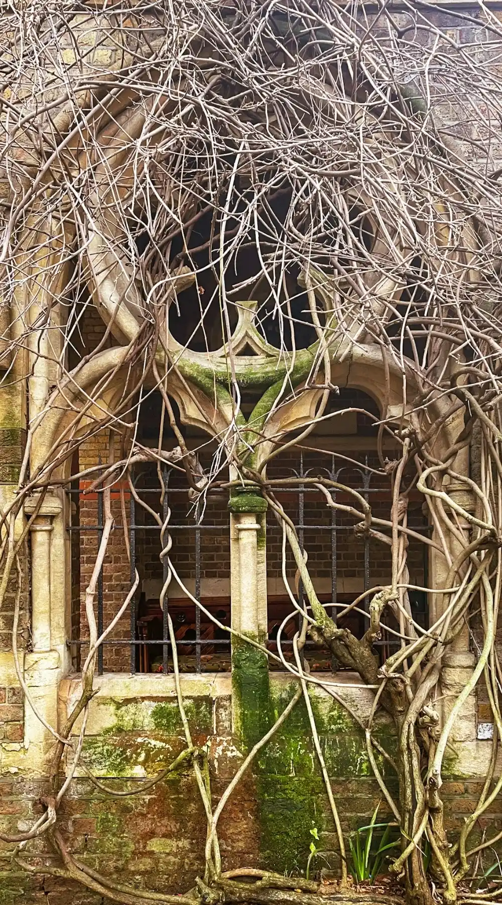 London's Secret Gardens: Mark Street Gardens, Shoreditch hidden gems - best things to do in east london - hidden parks in london sightseeing - most beautiful places in london bucket list 
