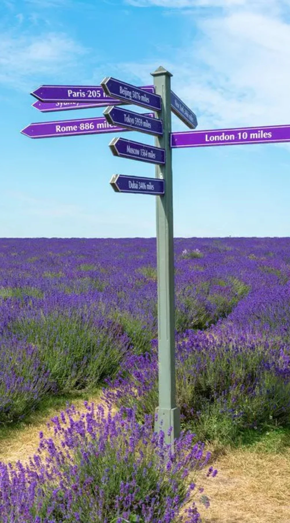 Mayfield Lavender Farm - Banstead (Victoria Line + short bus)