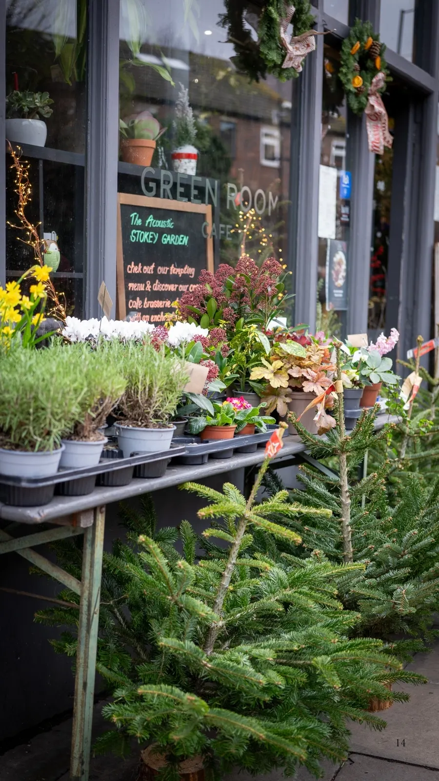 Beautiful Plant Shops in London: Stokey Garden & Flower Store, Stoke Newington