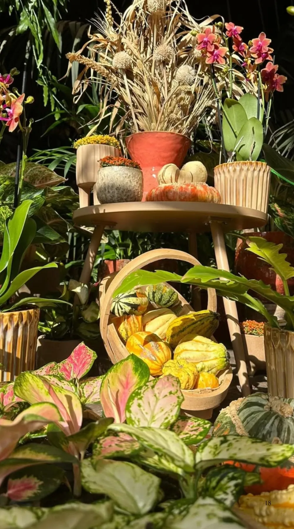 Beautiful Plant Shops in London: W6 Garden Centre and Cafe, West London