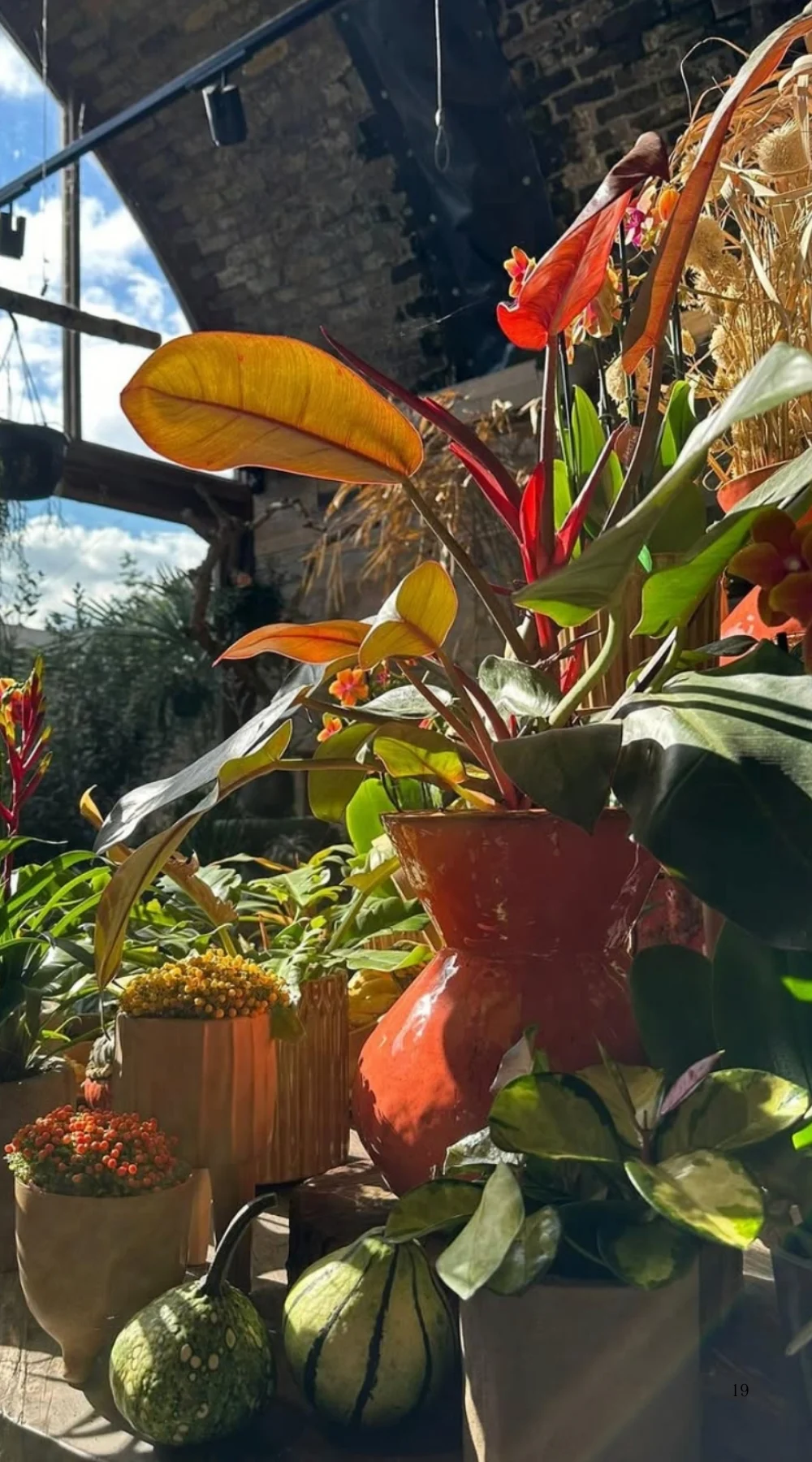 Beautiful Plant Shops in London: W6 Garden Centre and Cafe, West London