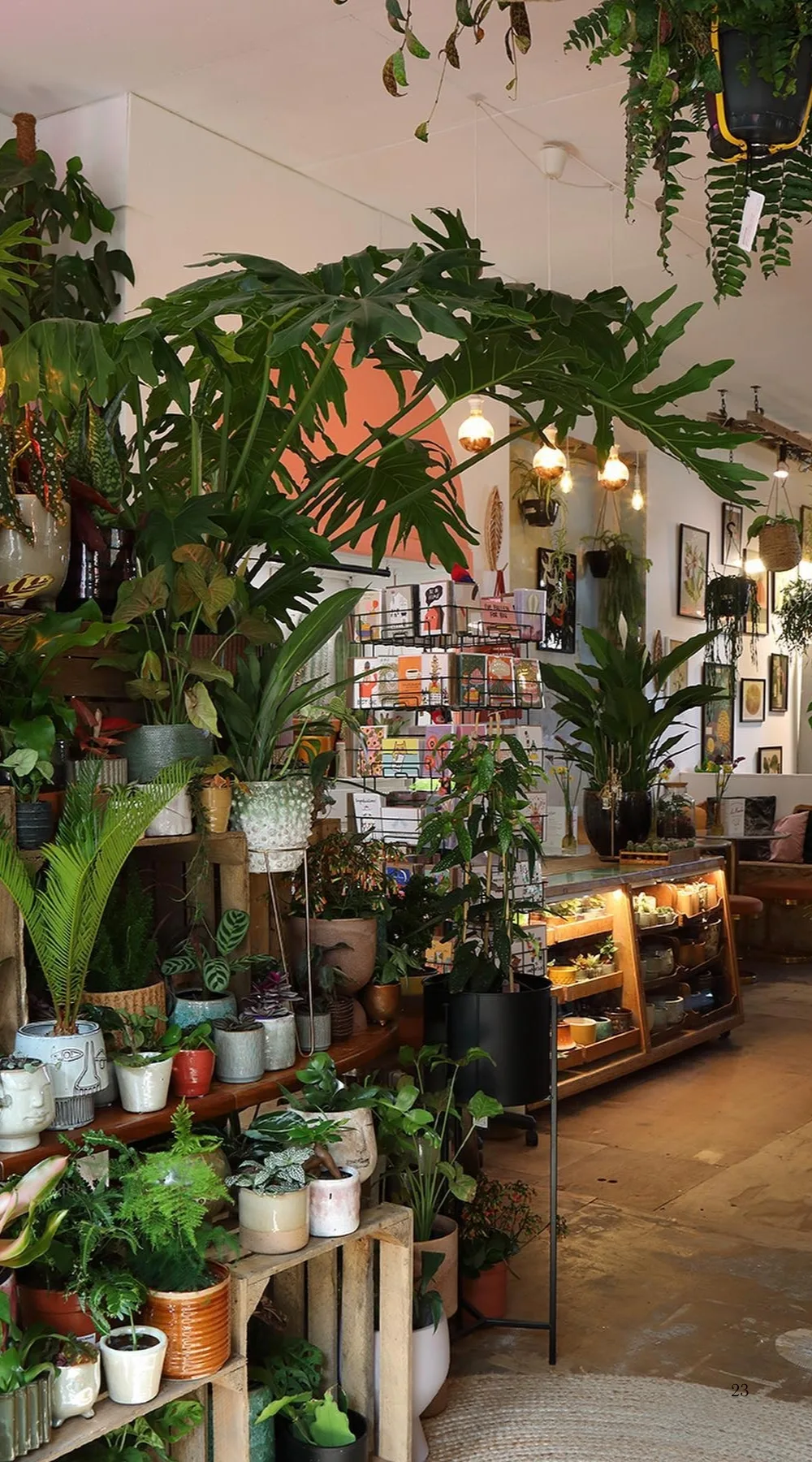 Beautiful Plant Shops in London: The Vaults Collective, South East London